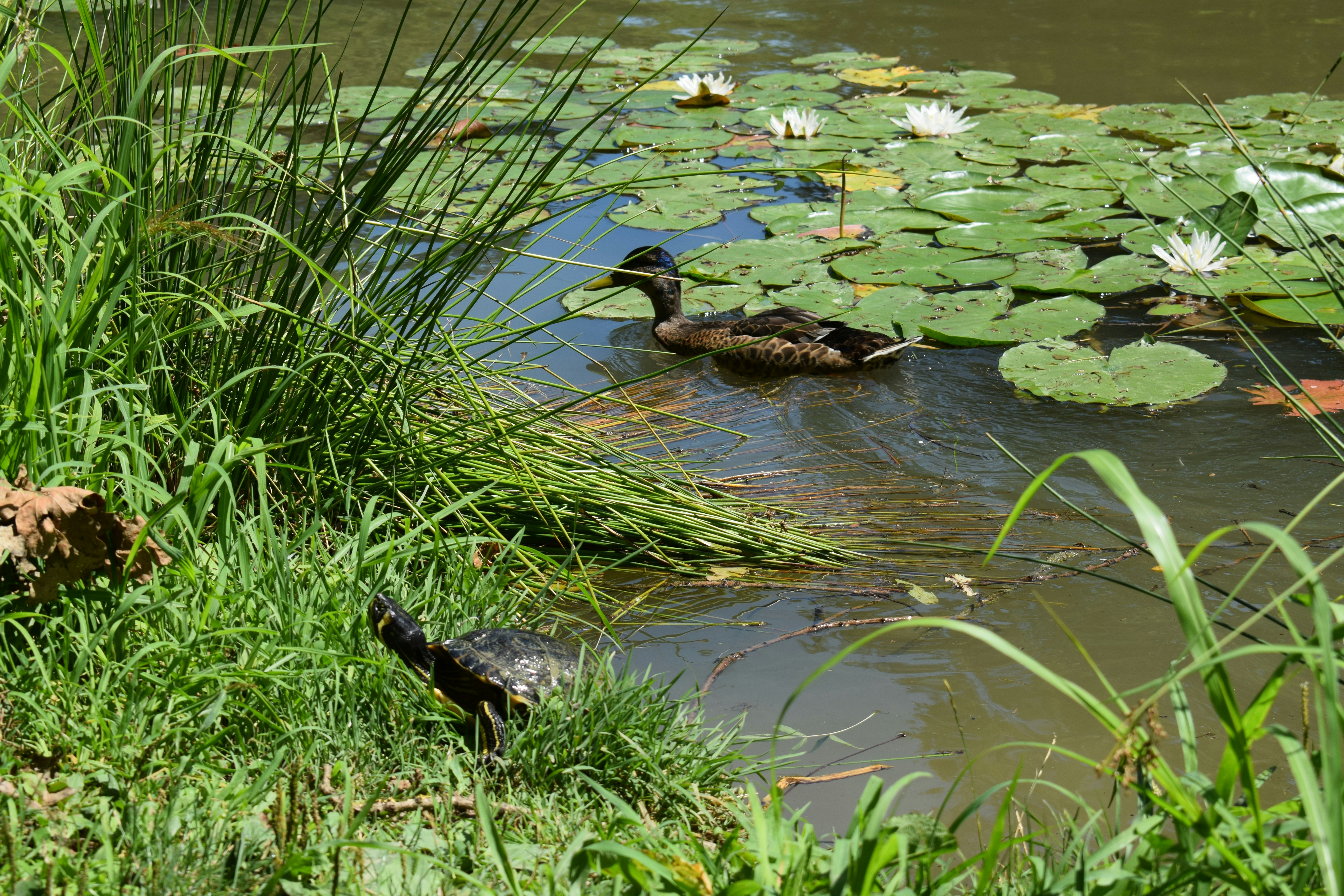 Photo by kristina001