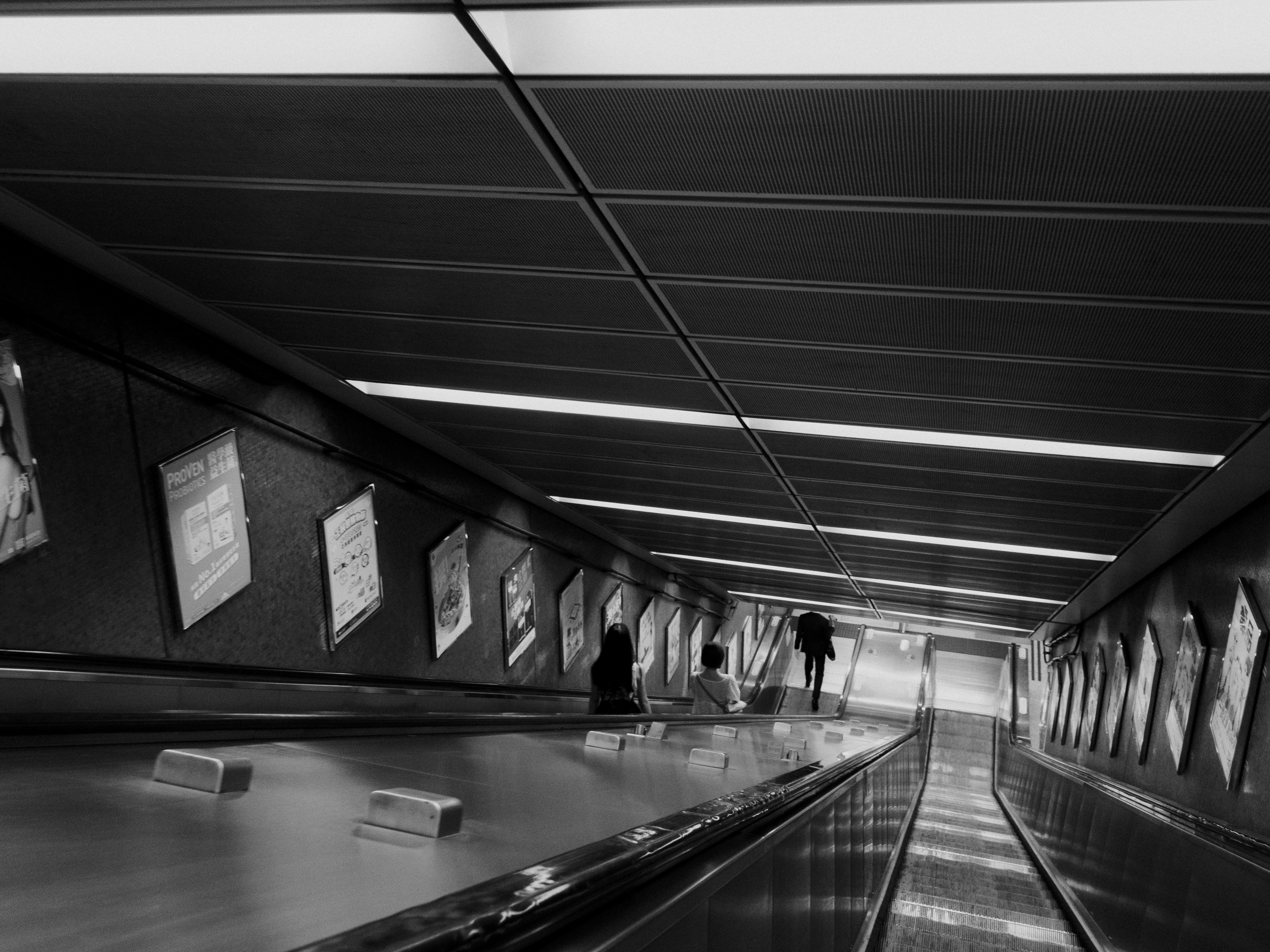 Photo by catgirlmutant