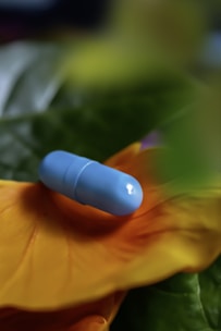 A blue capsule pill rests on a vibrant orange flower petal, surrounded by various shades of green leaves in the background.