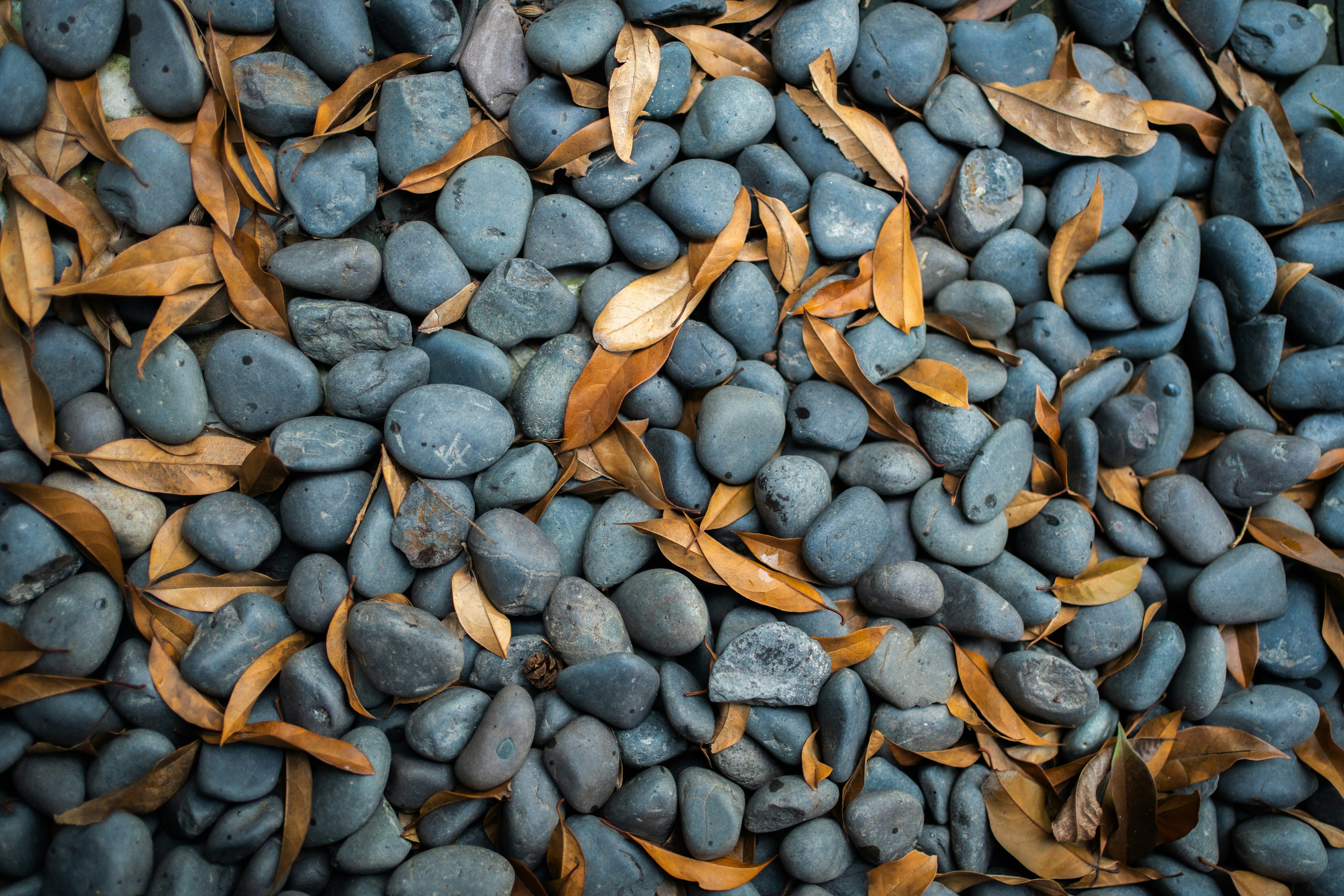 Thought the Market Passed You By? Think Again.