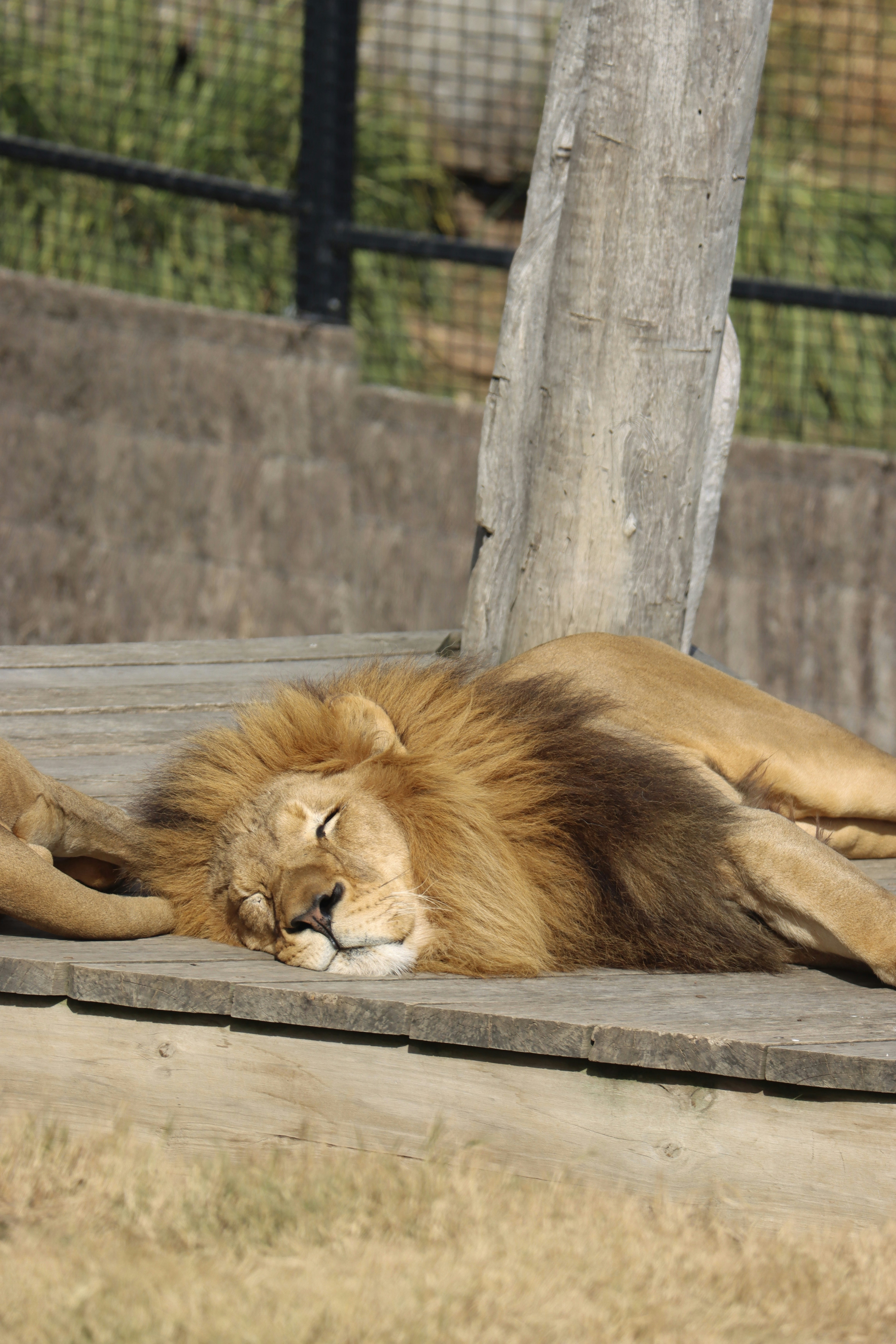 Photo by shotsby_nadira