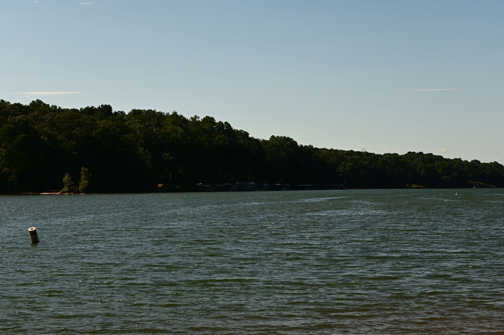 a body of water with trees in the background