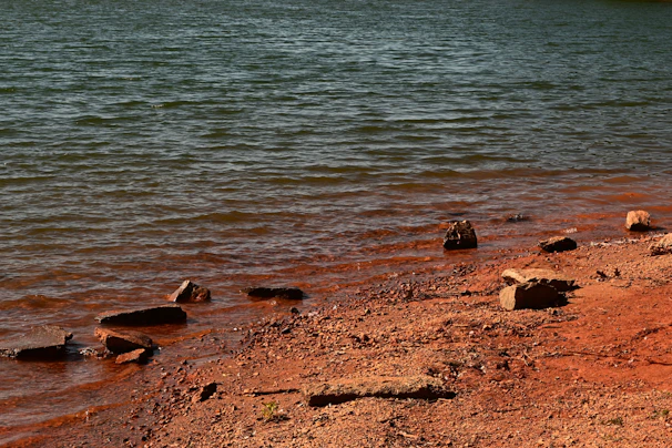 Close-up of gentle waves lapping against smooth stones on a serene lakeshore.