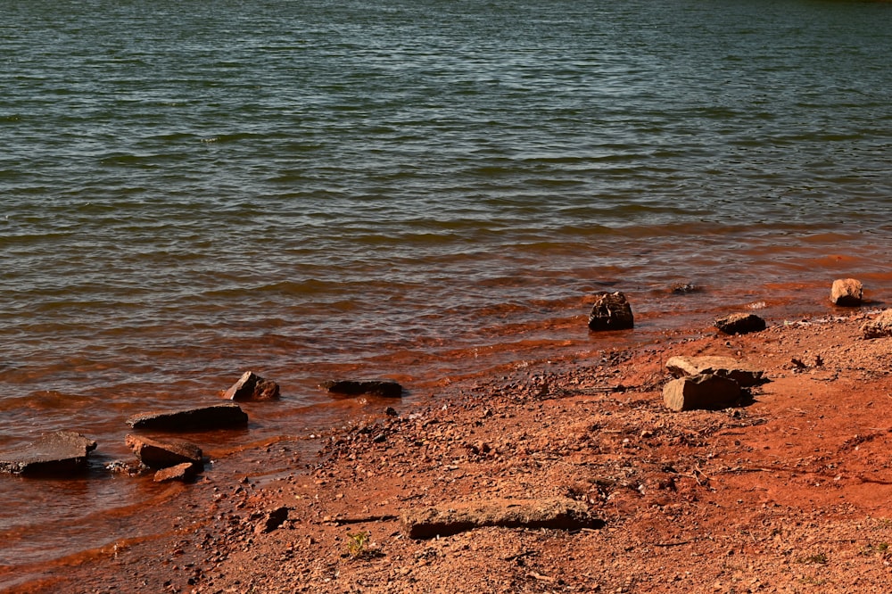 a body of water with rocks on the shore