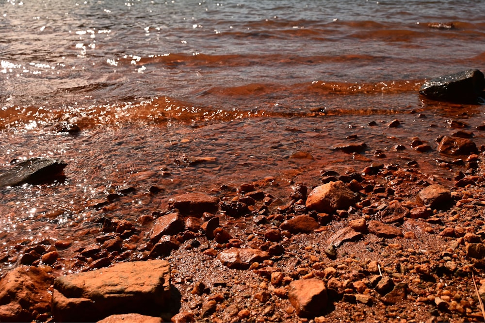 rocks and water on the shore of a lake