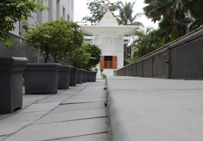 Pathway lined with flowering plants leading to the Bhavnath Mahadev temple nearby.