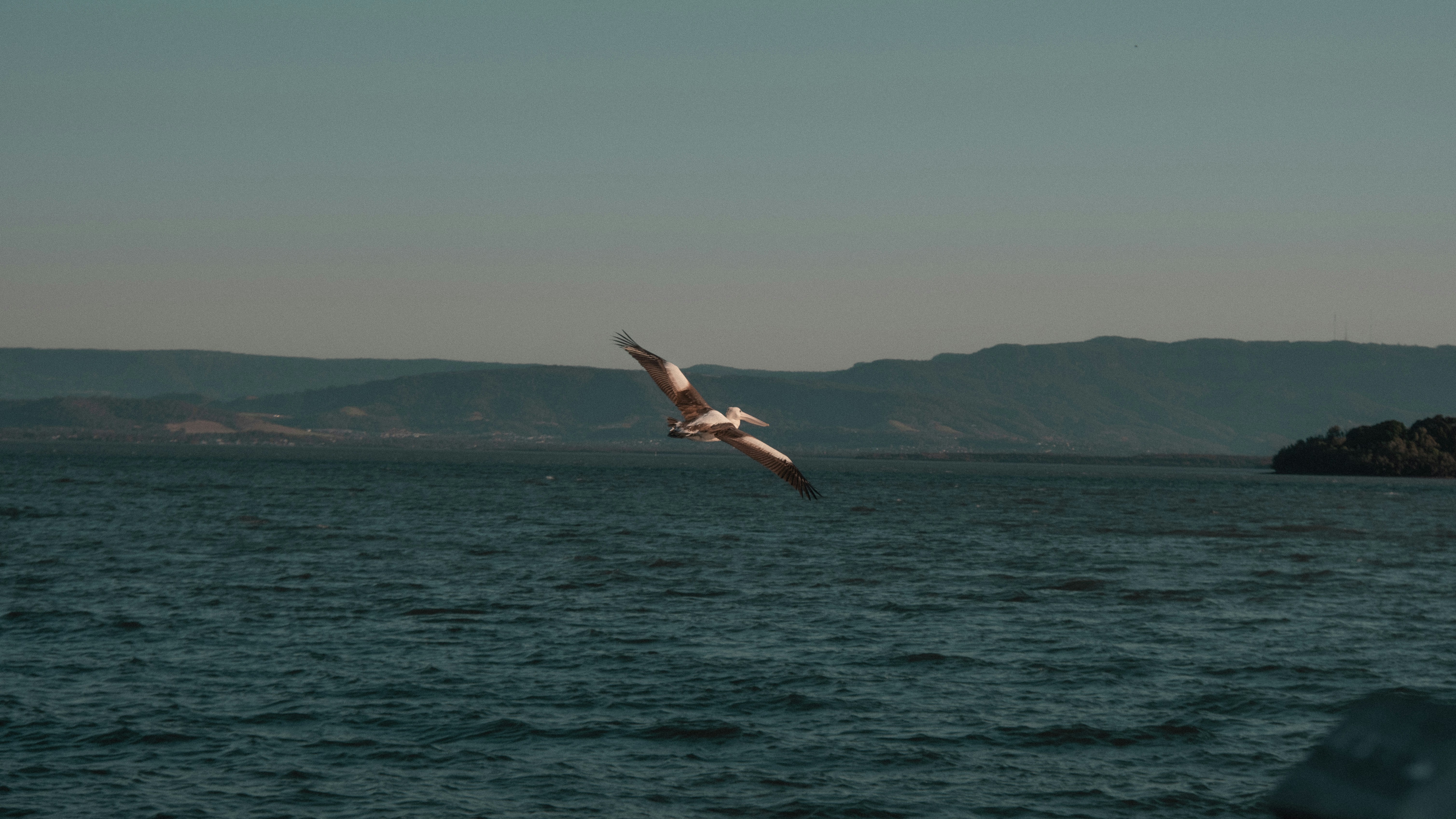 Photo by cqyao