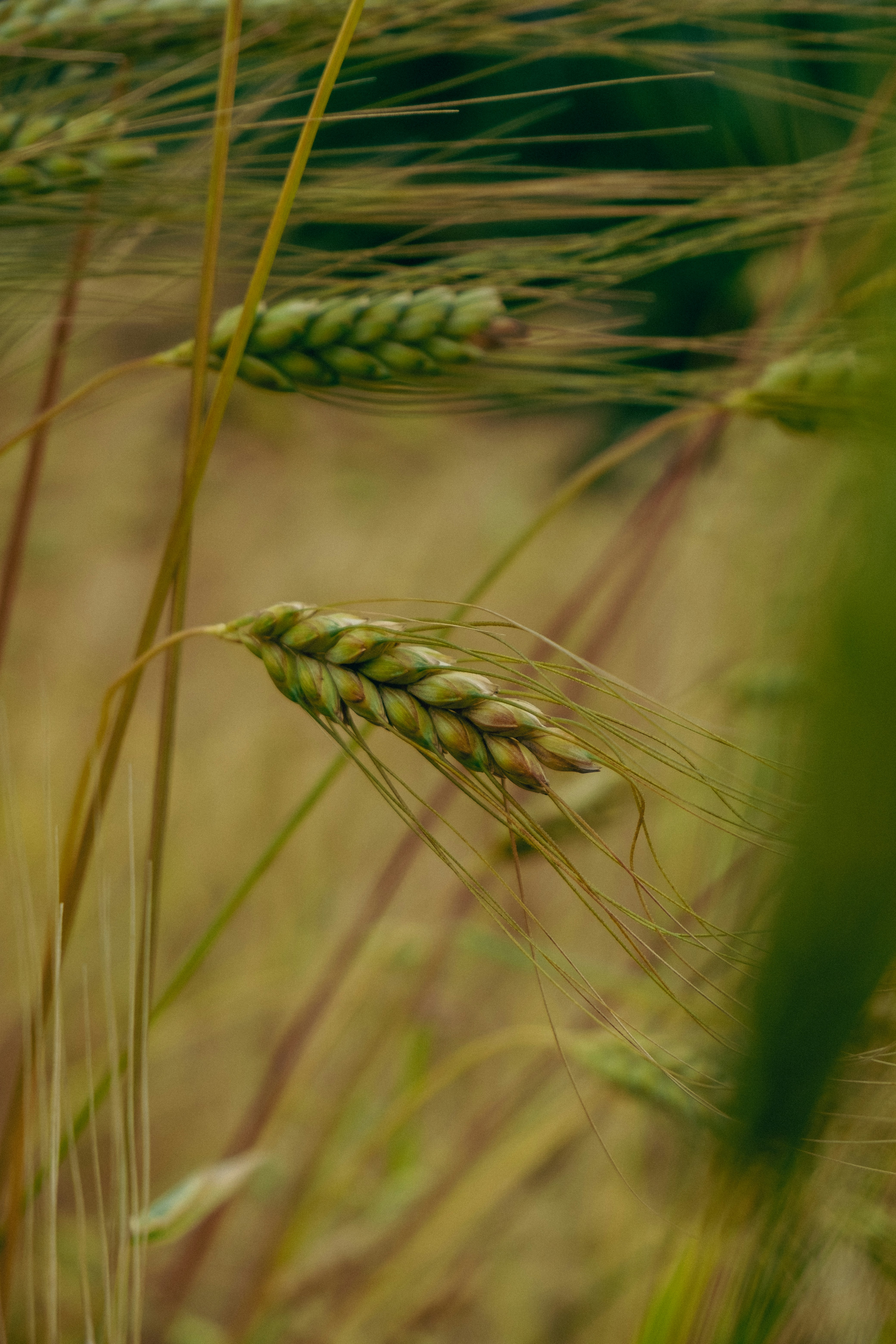 Photo by redredorange