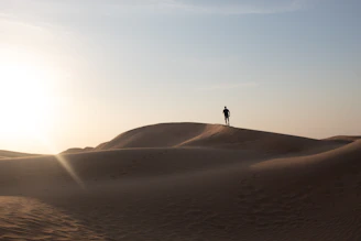 A lone traveler standing at the edge of a vast desert under a pale ivory sky.