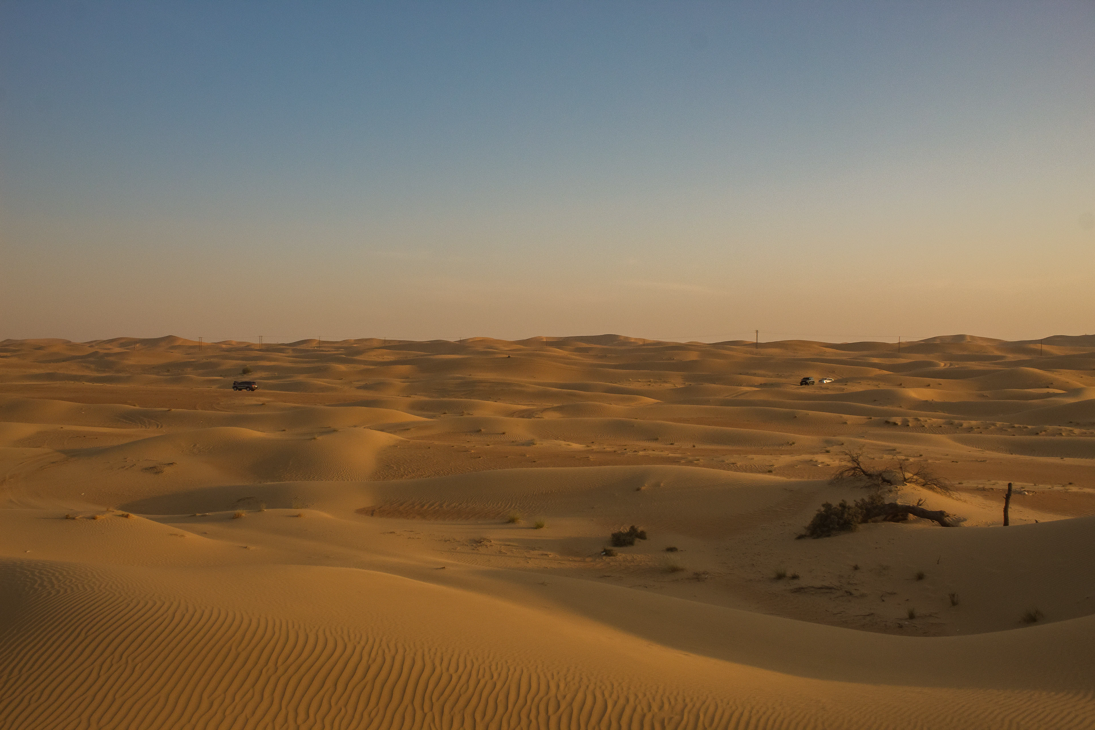 Rolling sand dunes in the desert of the Abu Dhabi emirate in soft evening light