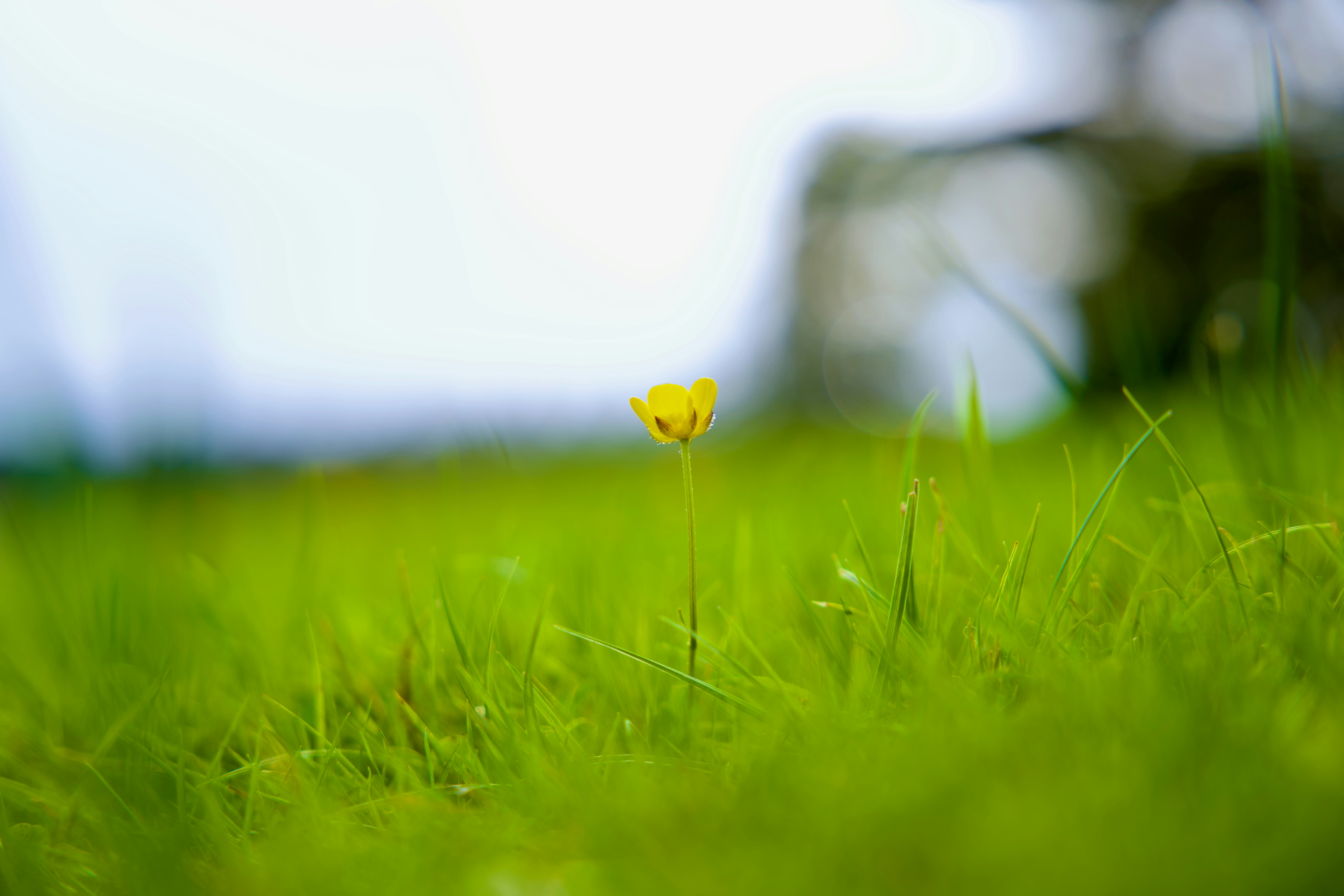 Photo by kingsukpasari