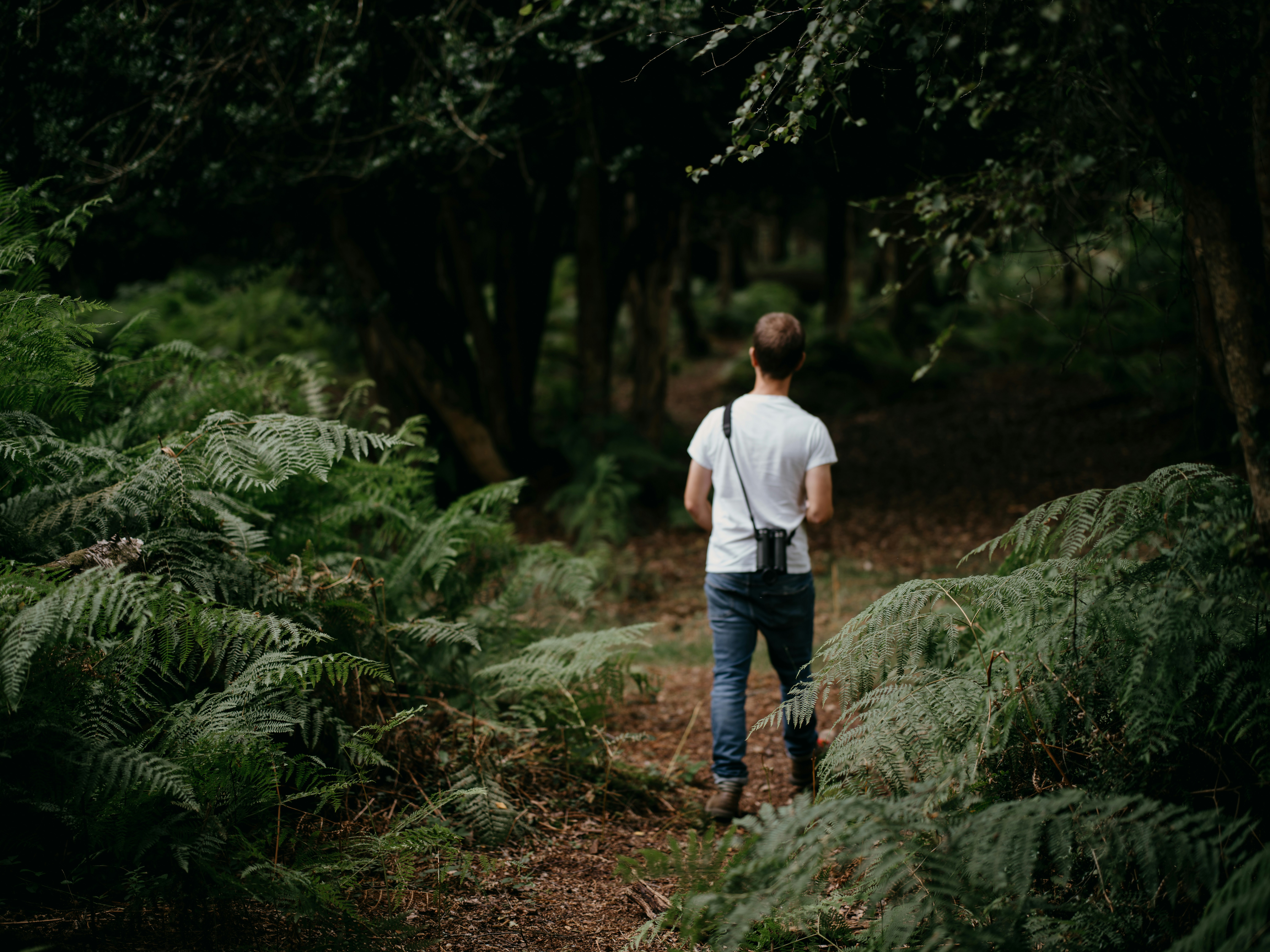 Photo by anniespratt