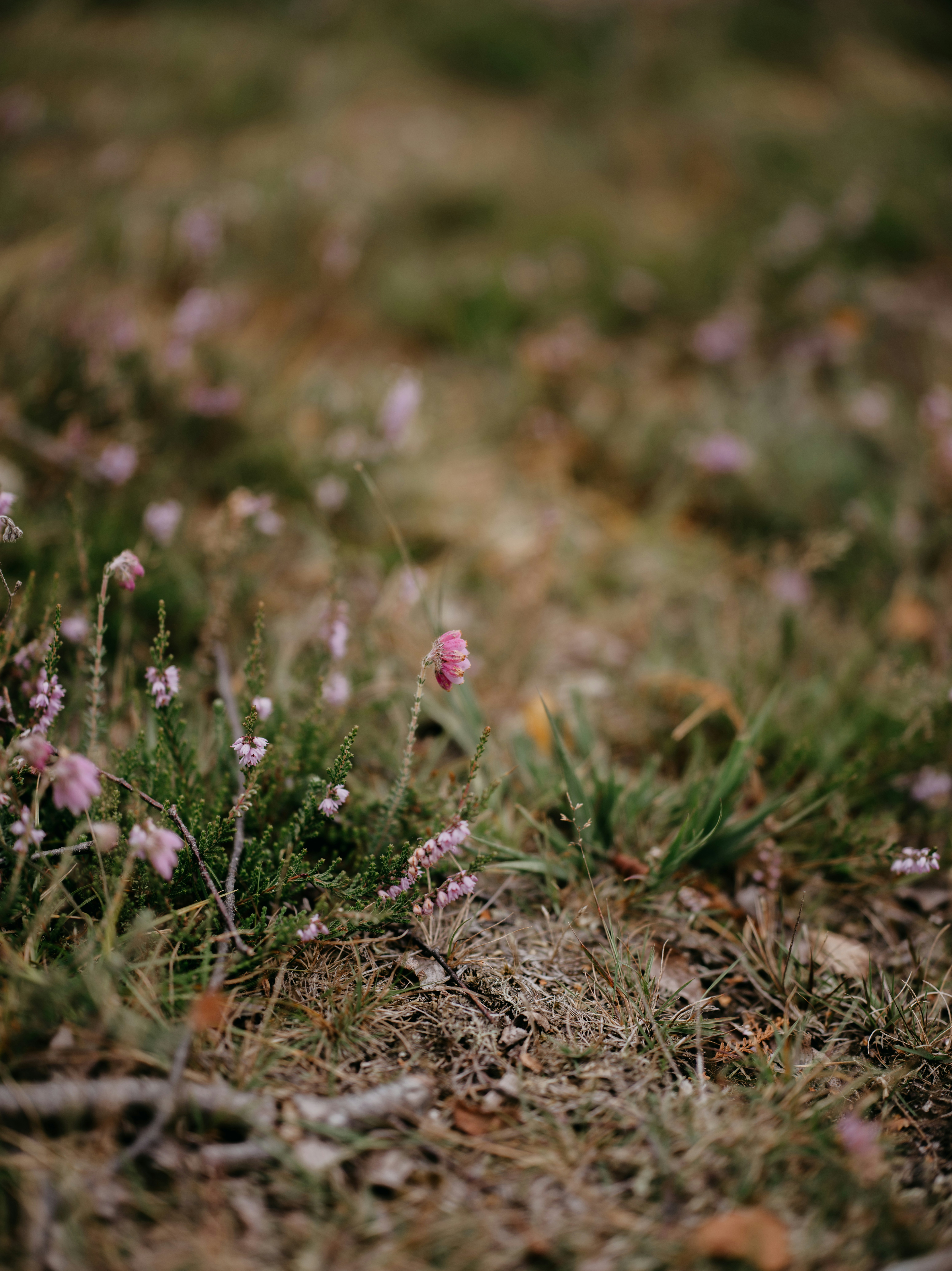 Photo by anniespratt