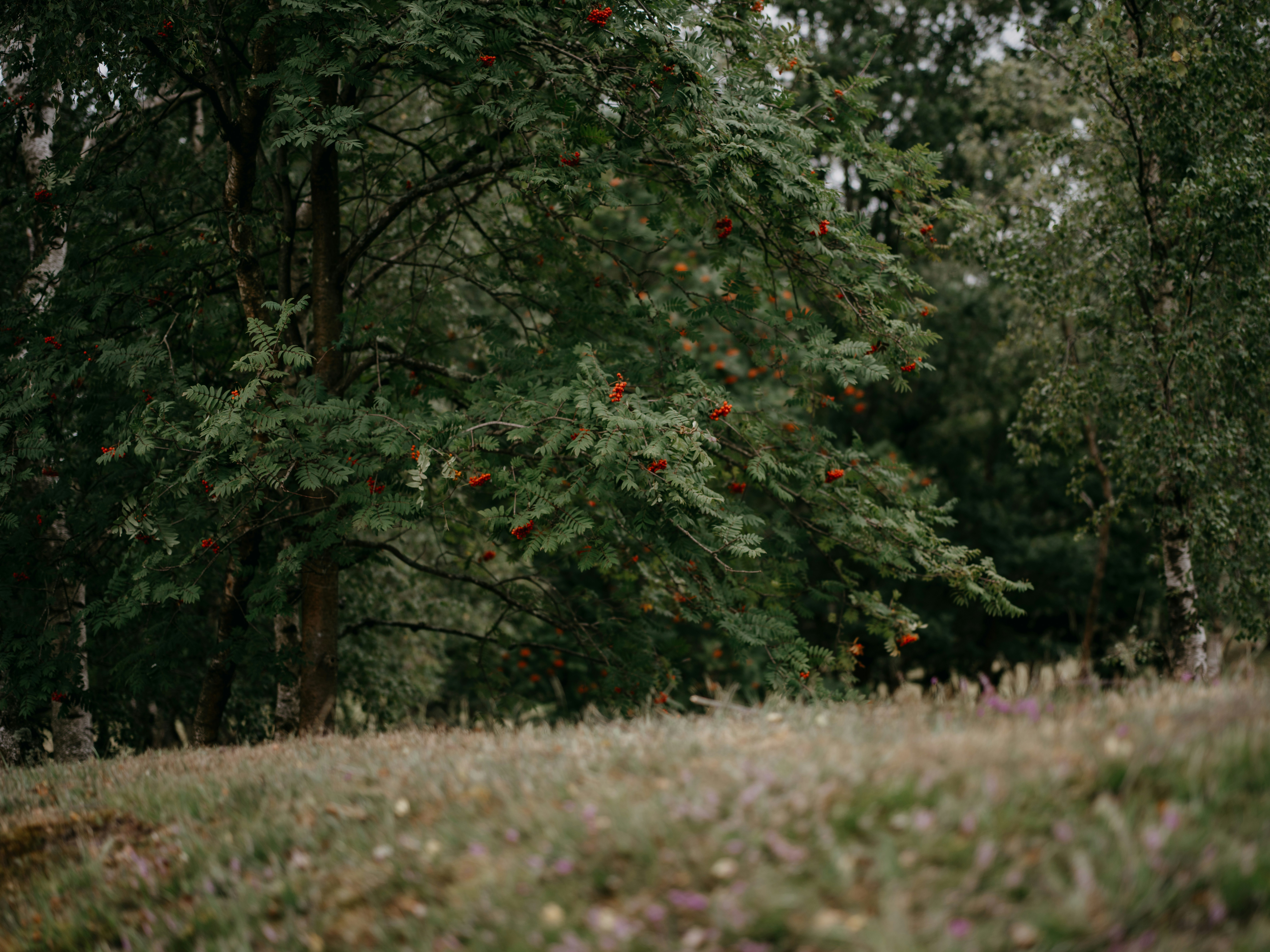 Photo by anniespratt