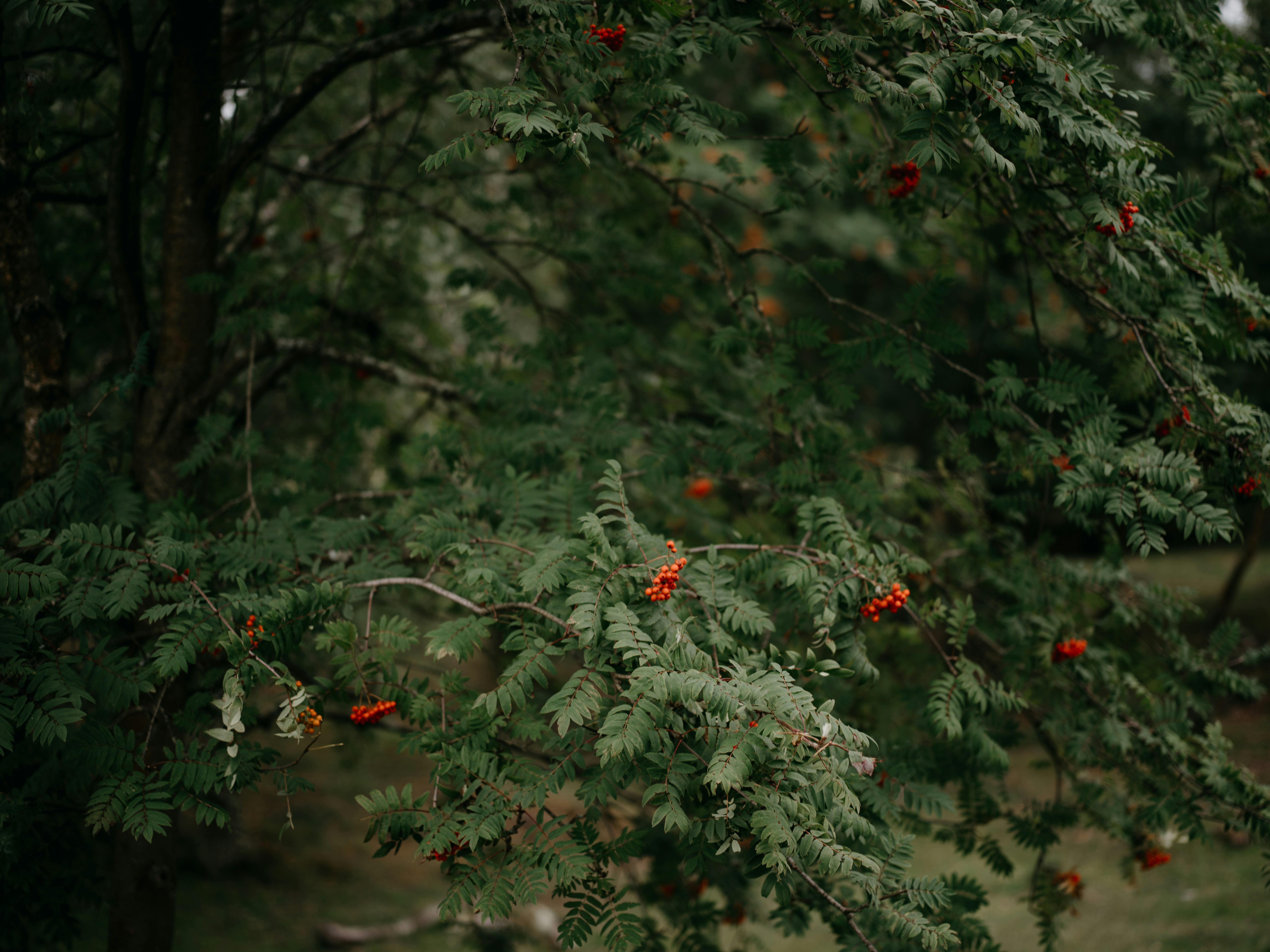 Photo by anniespratt