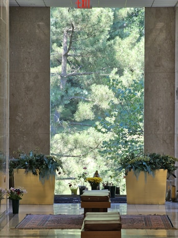 A serene corner of the studio featuring natural plants and elegant textures in green and gold.