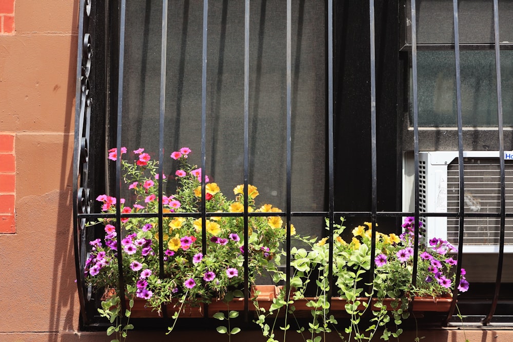 a window box with flowers in it next to a window