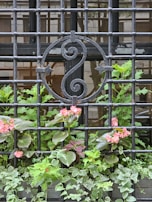 A decorative iron grille with a circular swirl design is mounted in front of a window. Beneath the grille, a variety of green plants and bright pink flowers are thriving, contrasting with the dark metal of the grille.