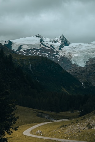 A winding mountain road in the Chilean Patagonia with lush green forests and snow-capped peaks.