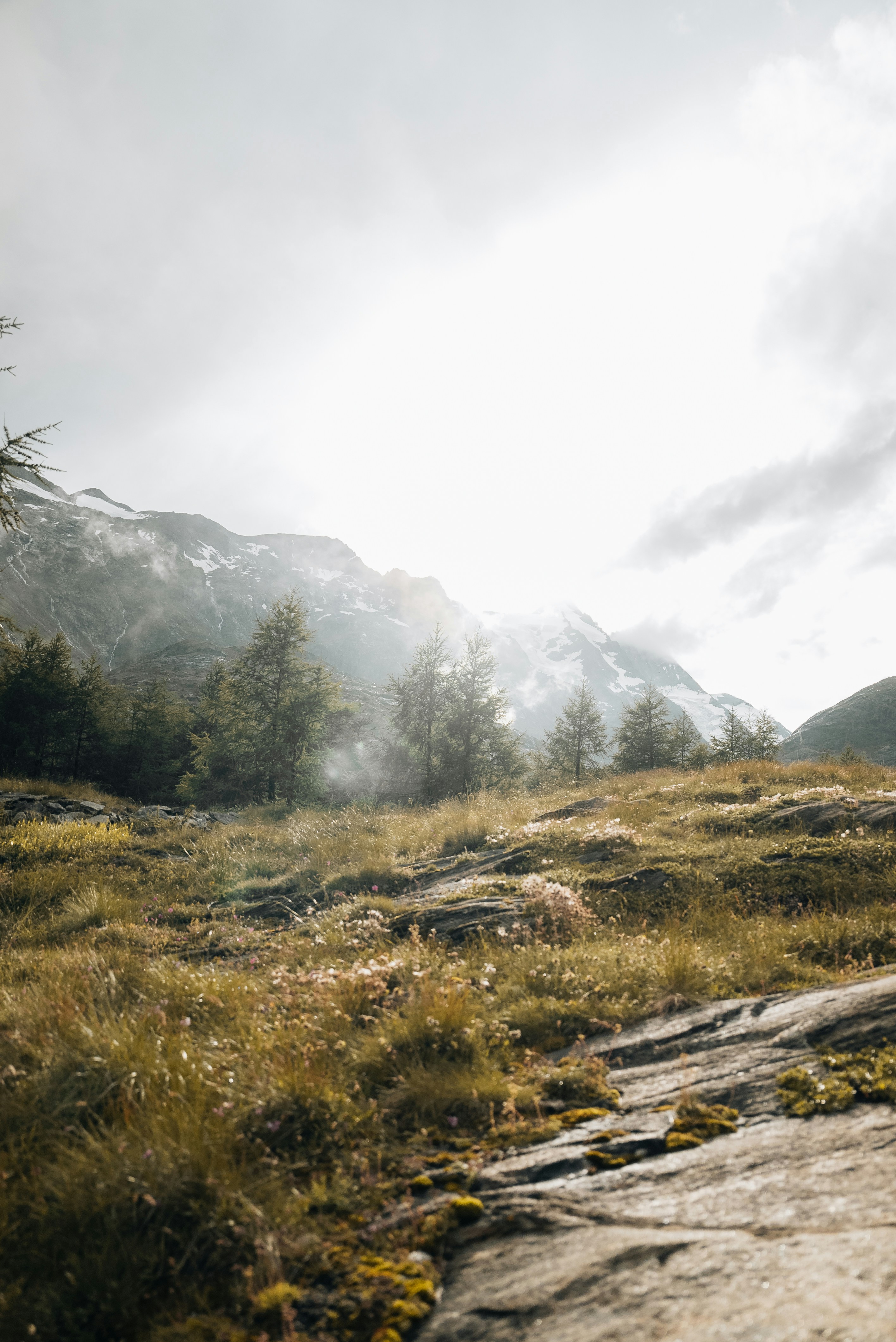 Photo by nejc_soklic