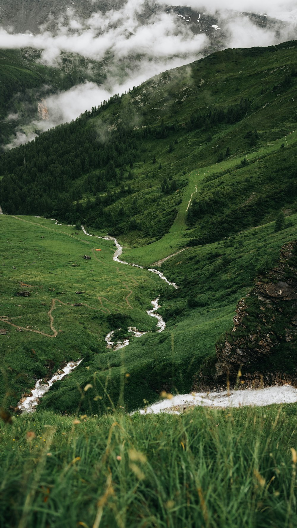 a stream running through a lush green valley