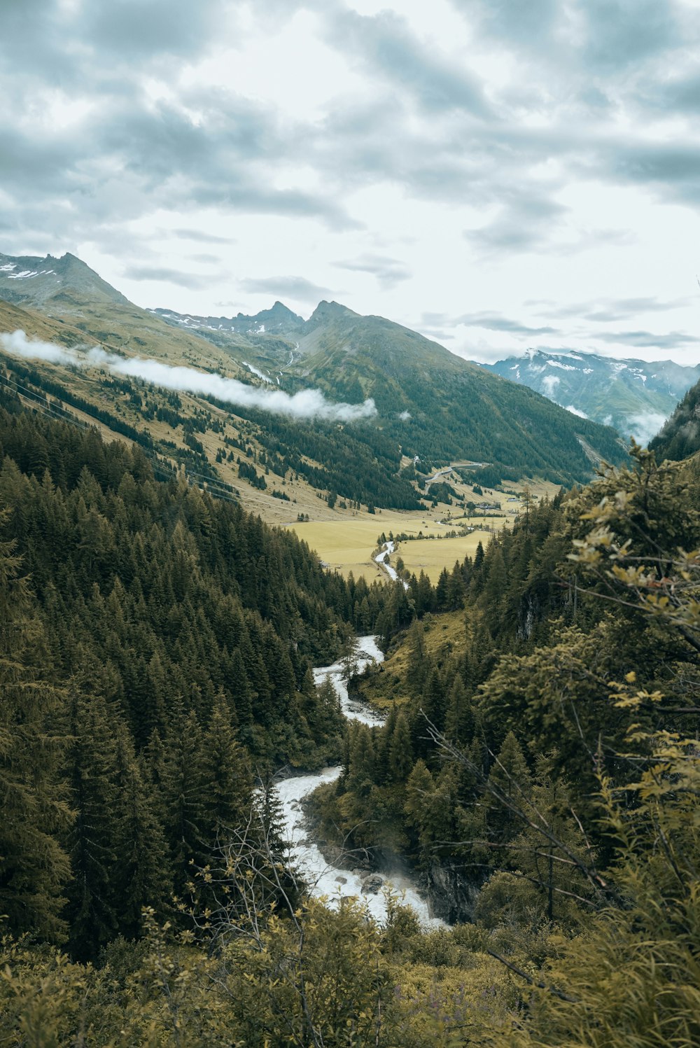 a river running through a lush green forest