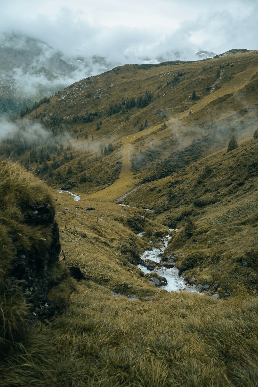 a stream running through a lush green hillside