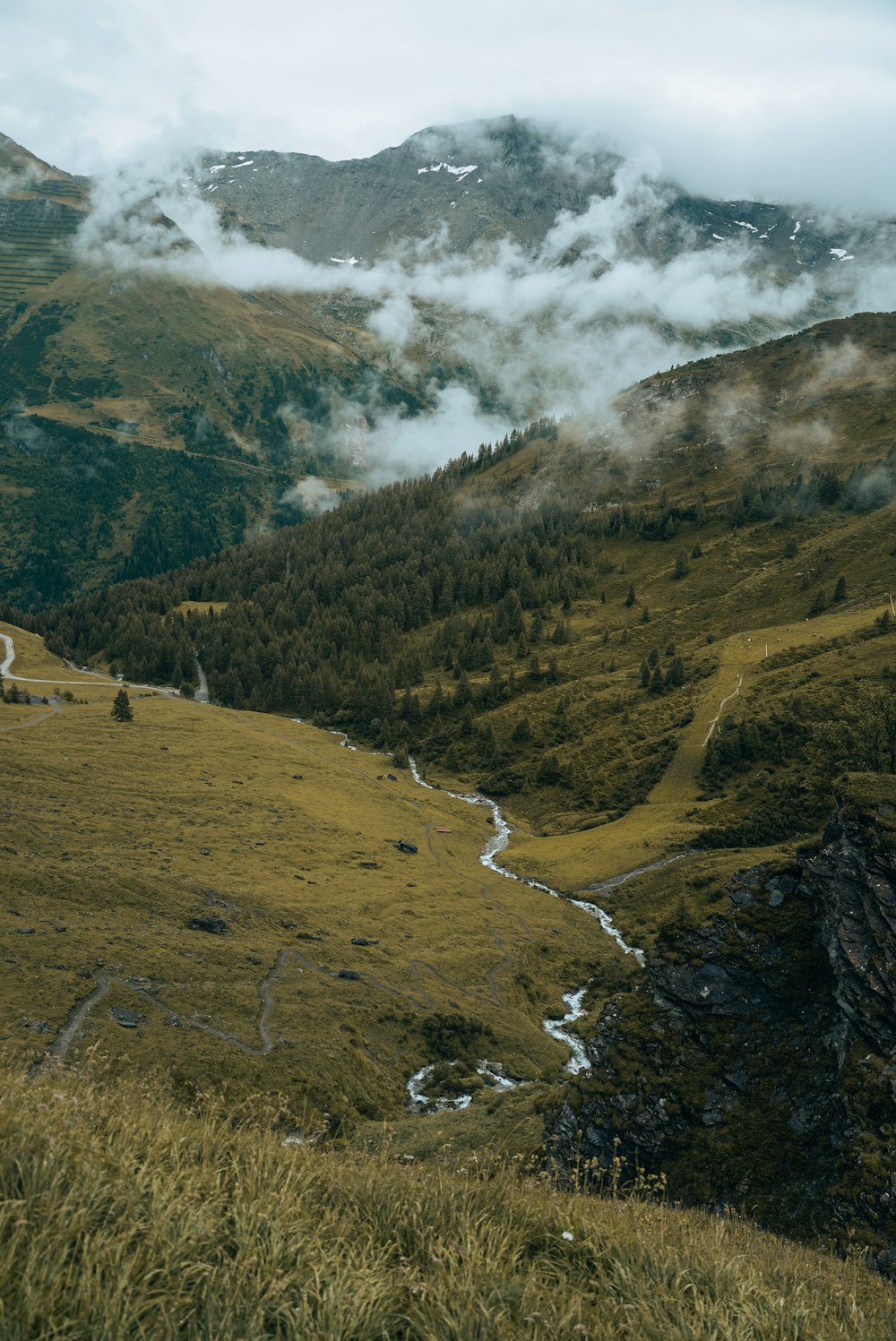 a grassy valley with a stream running through it