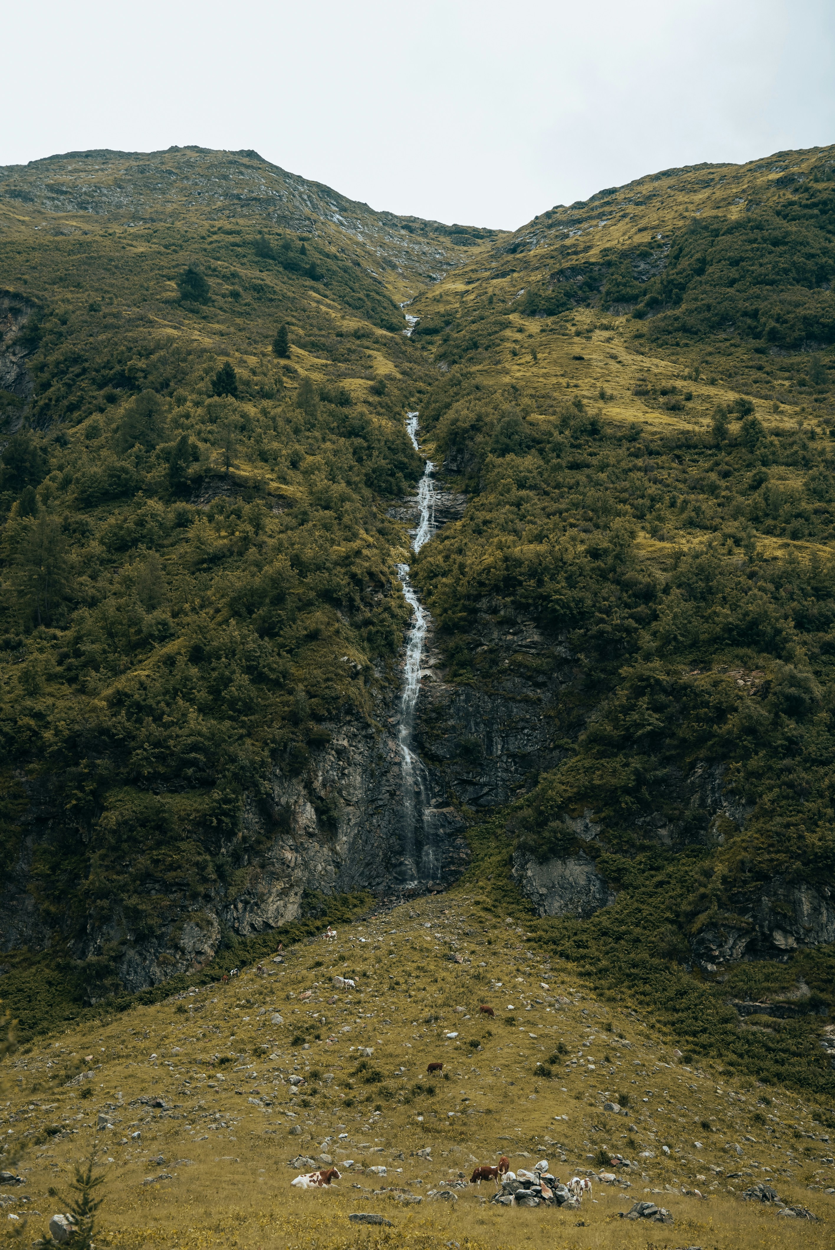 Photo by nejc_soklic