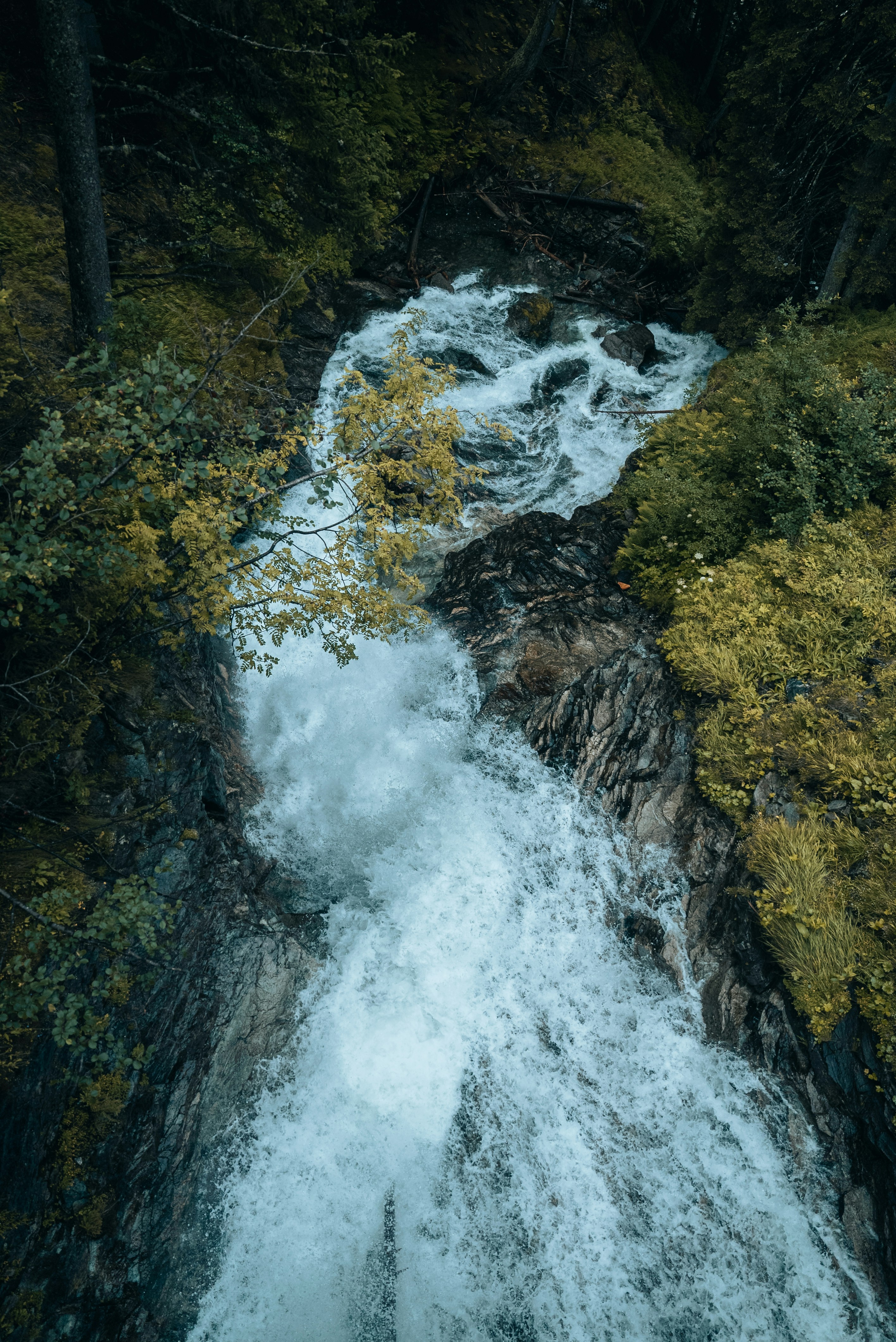 Photo by nejc_soklic