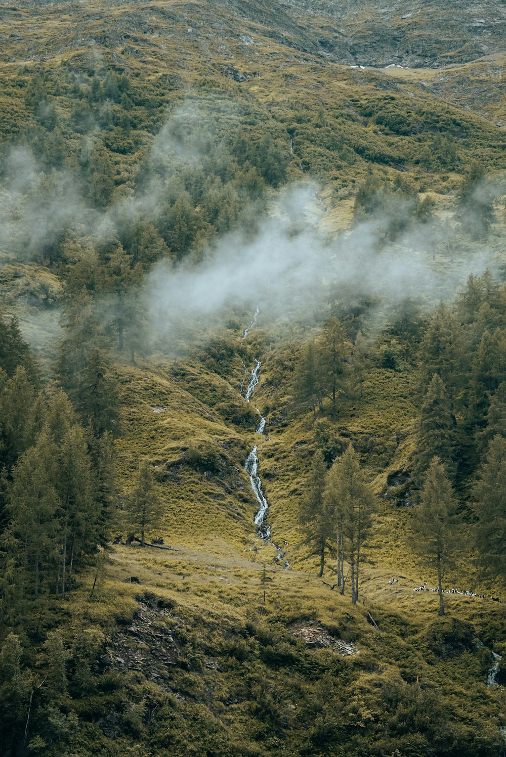a stream of water running through a lush green hillside