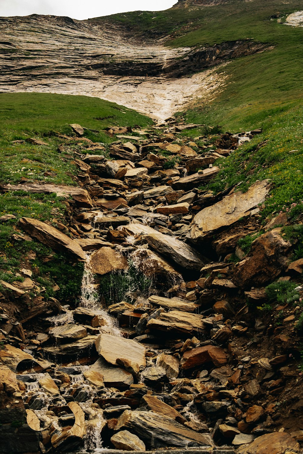 a stream of water running through a lush green hillside