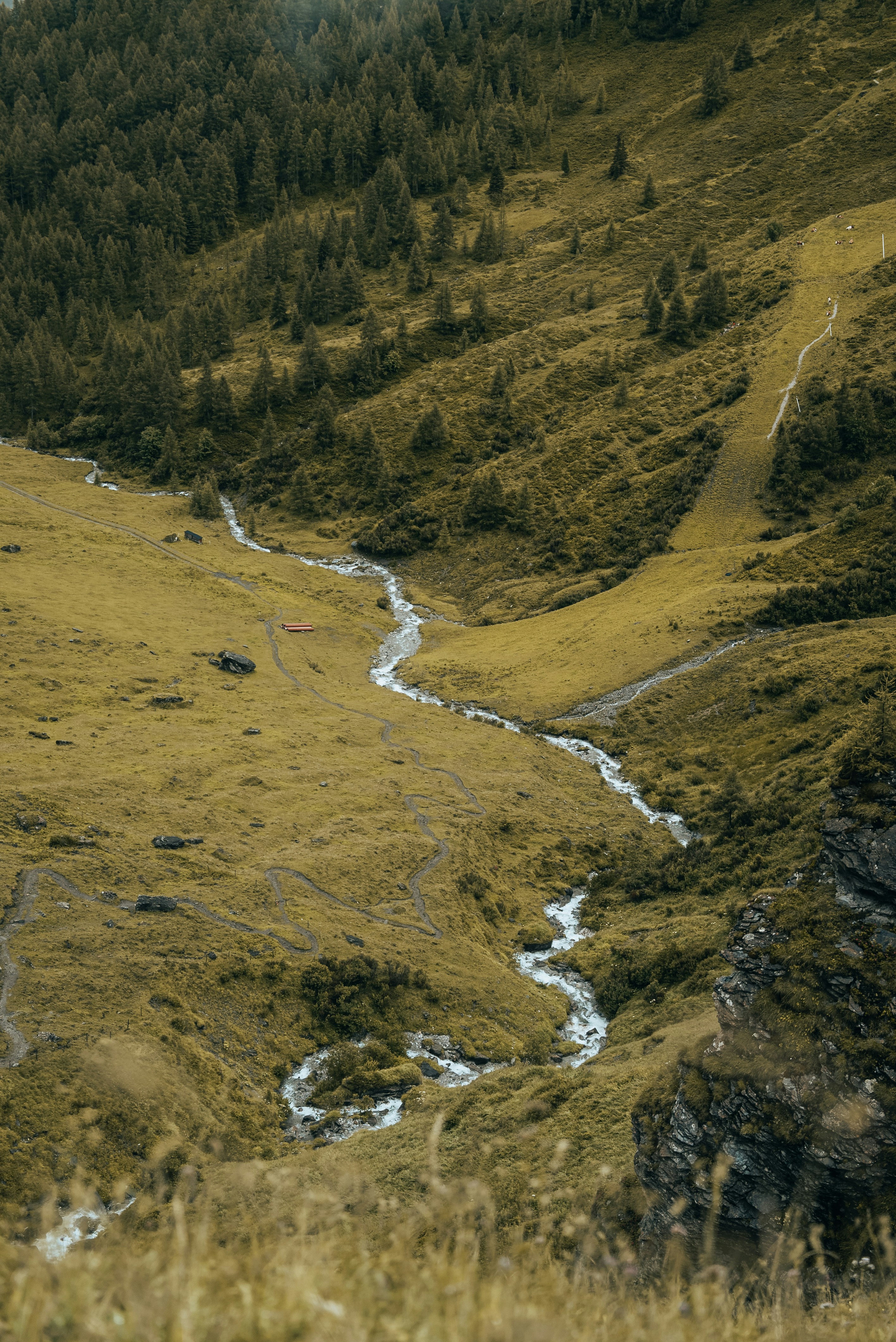 Photo by nejc_soklic