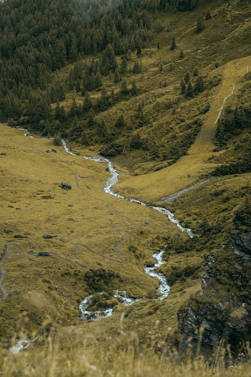 a stream running through a lush green hillside