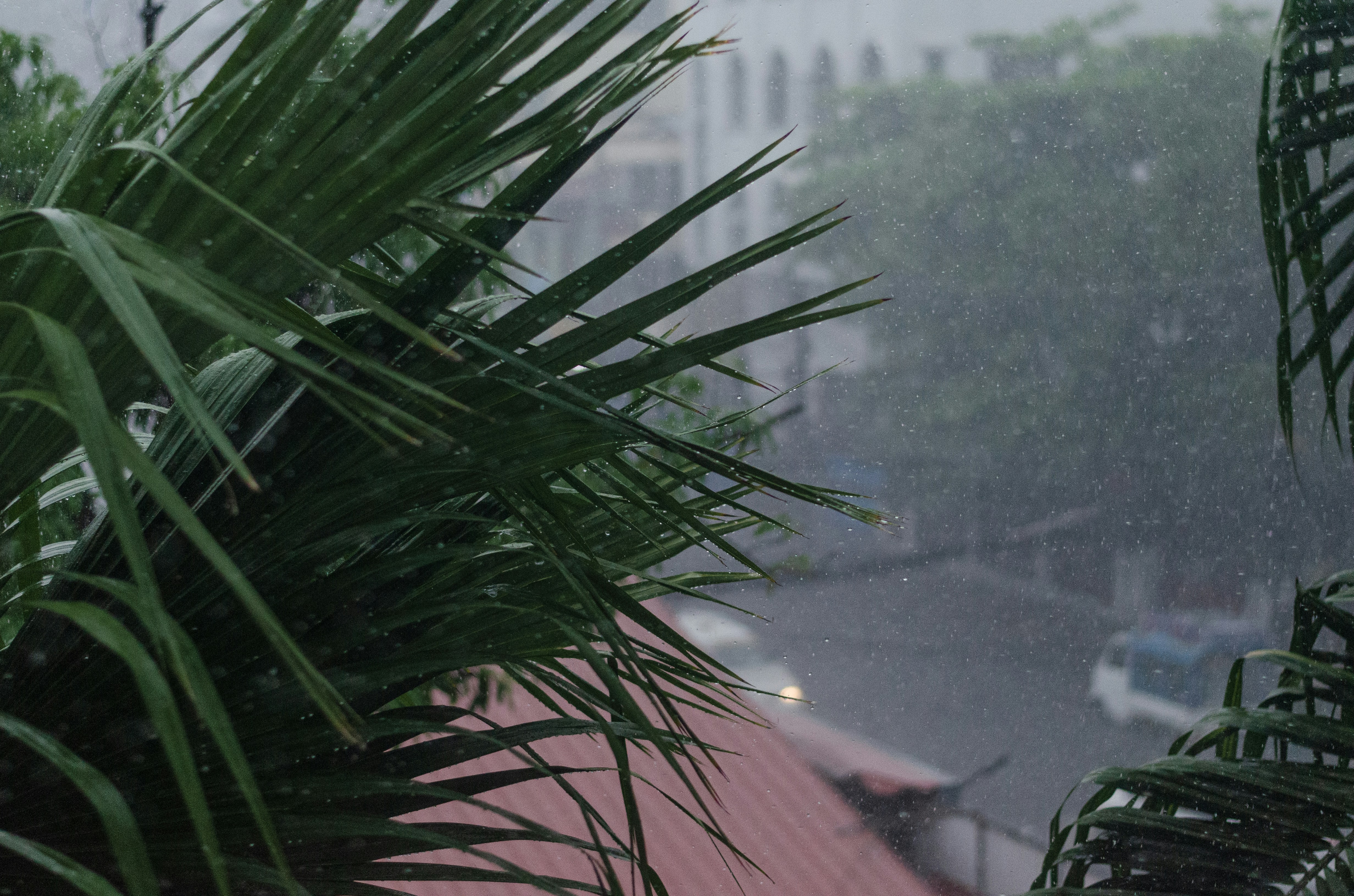 a view of a building through a window in the rain