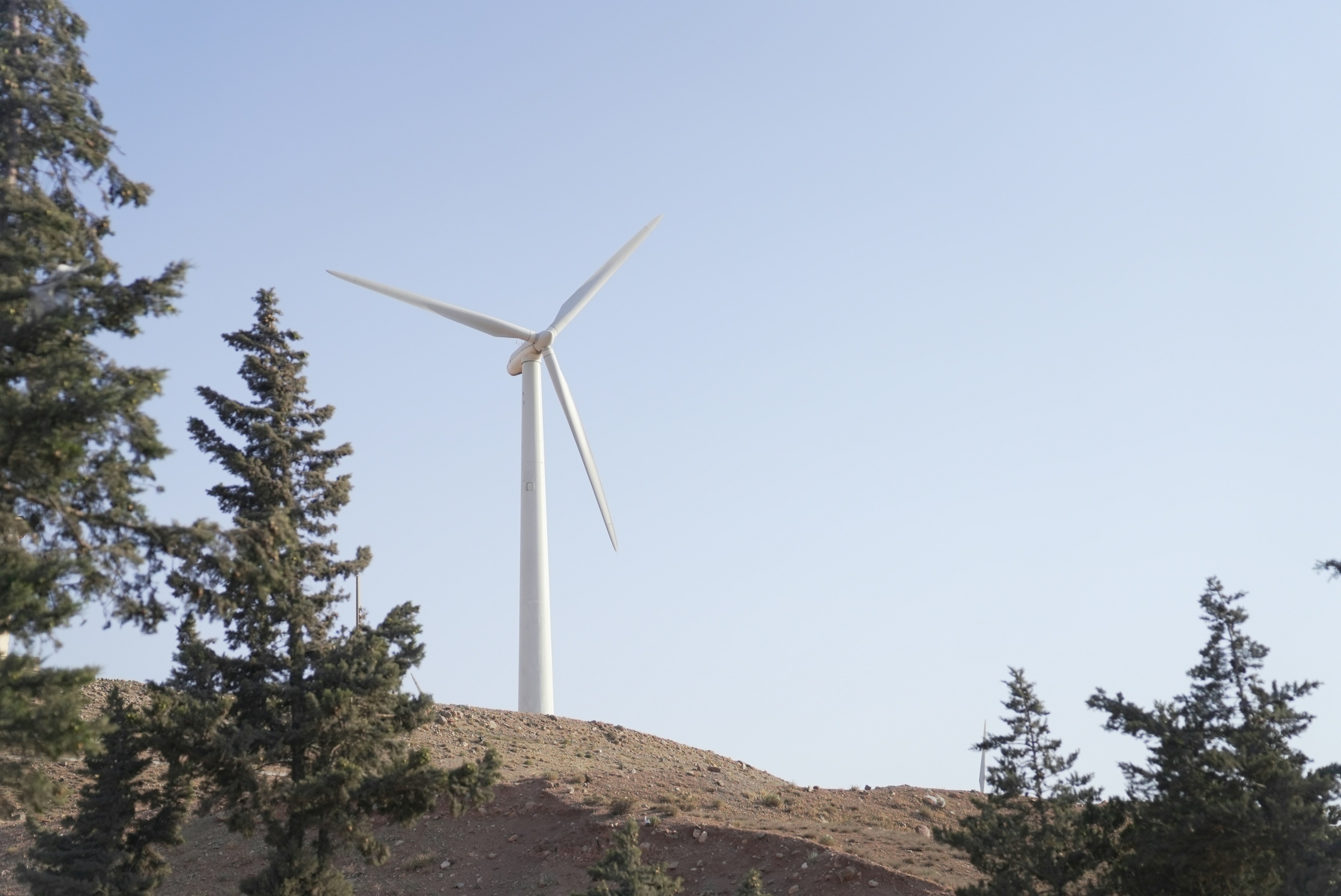 a wind turbine on top of a hill surrounded by trees