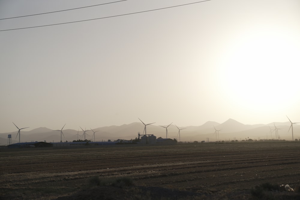 a large field with a bunch of windmills in the distance