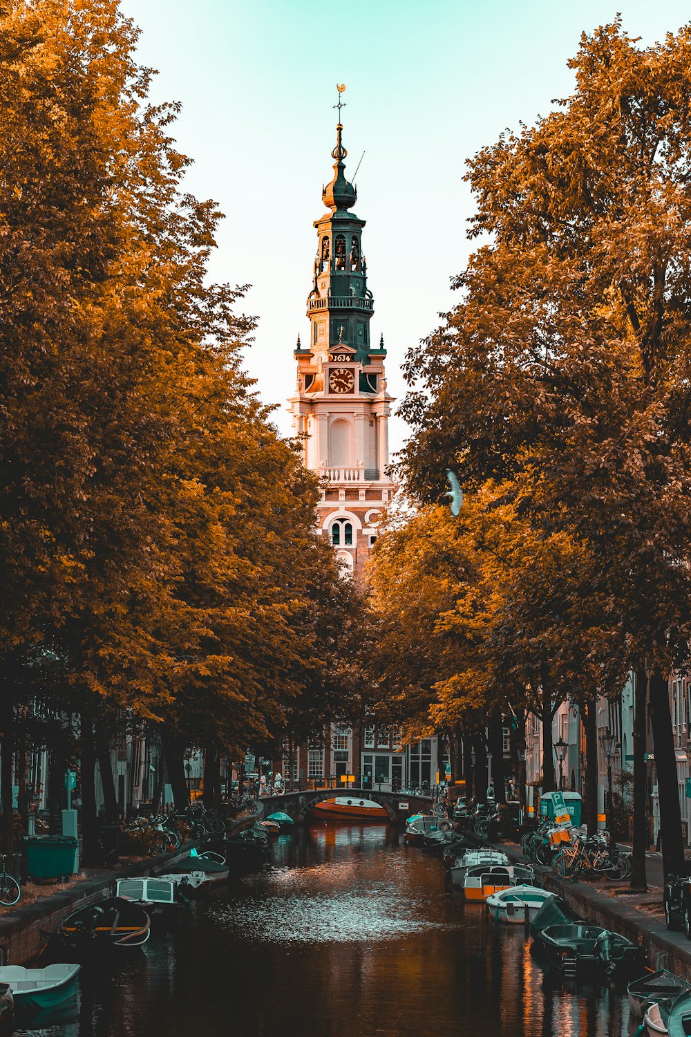 a clock tower towering over a river surrounded by trees