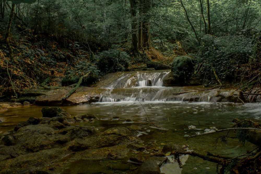 a small waterfall in the middle of a forest