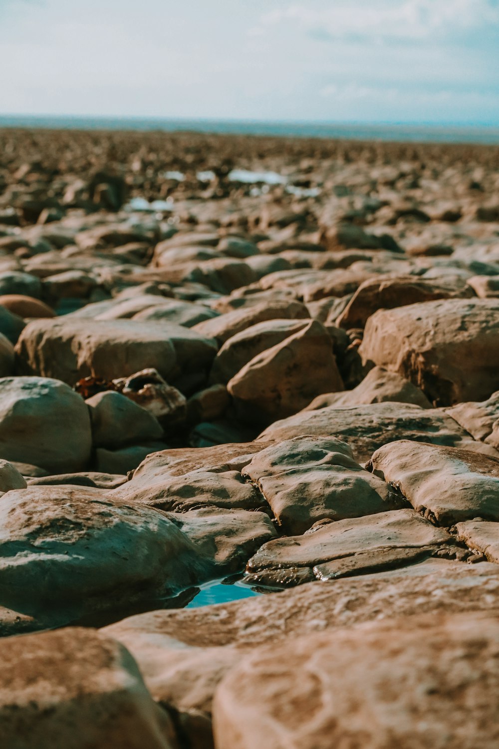 a bunch of rocks sitting on top of a beach