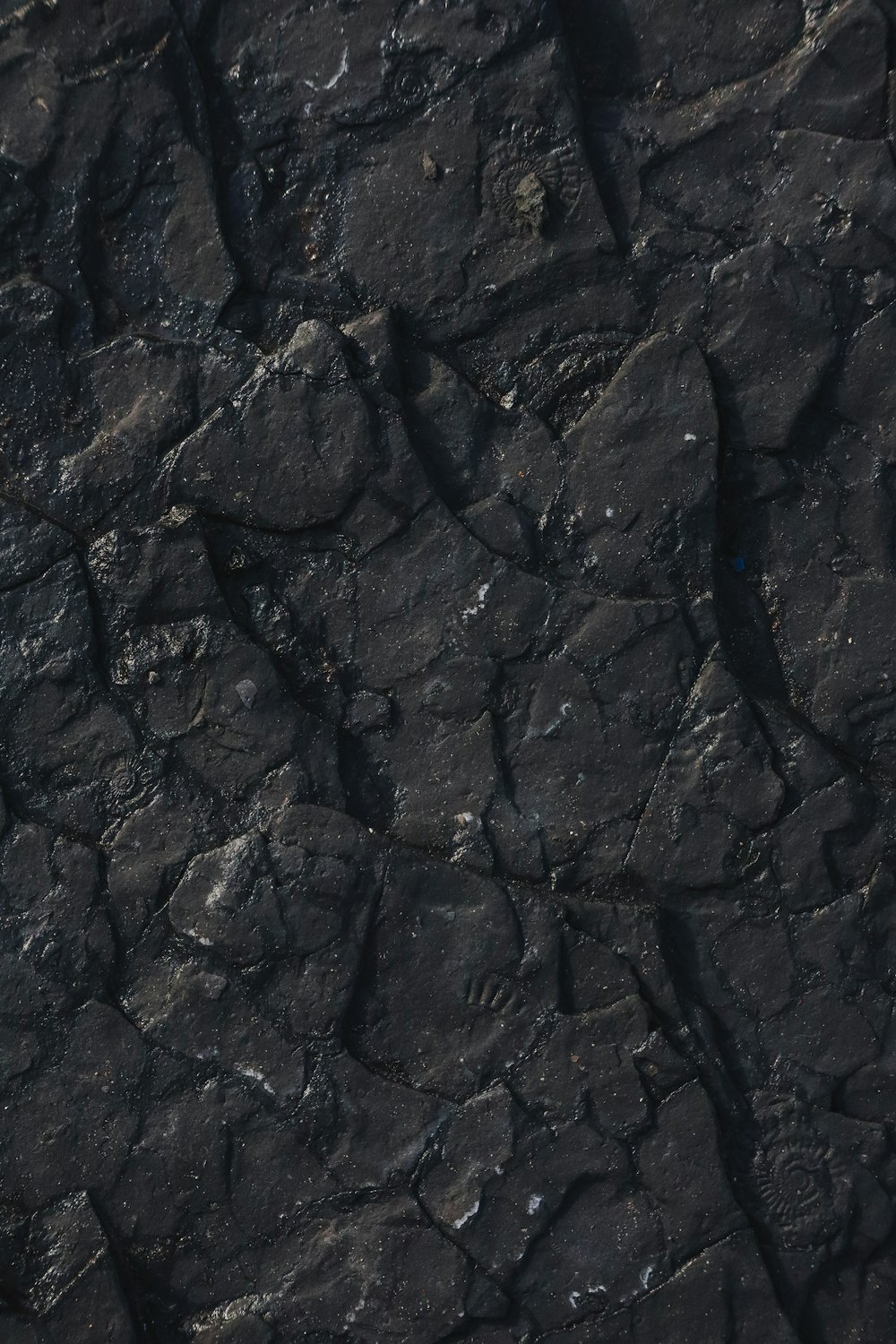 a close up of a black rock surface