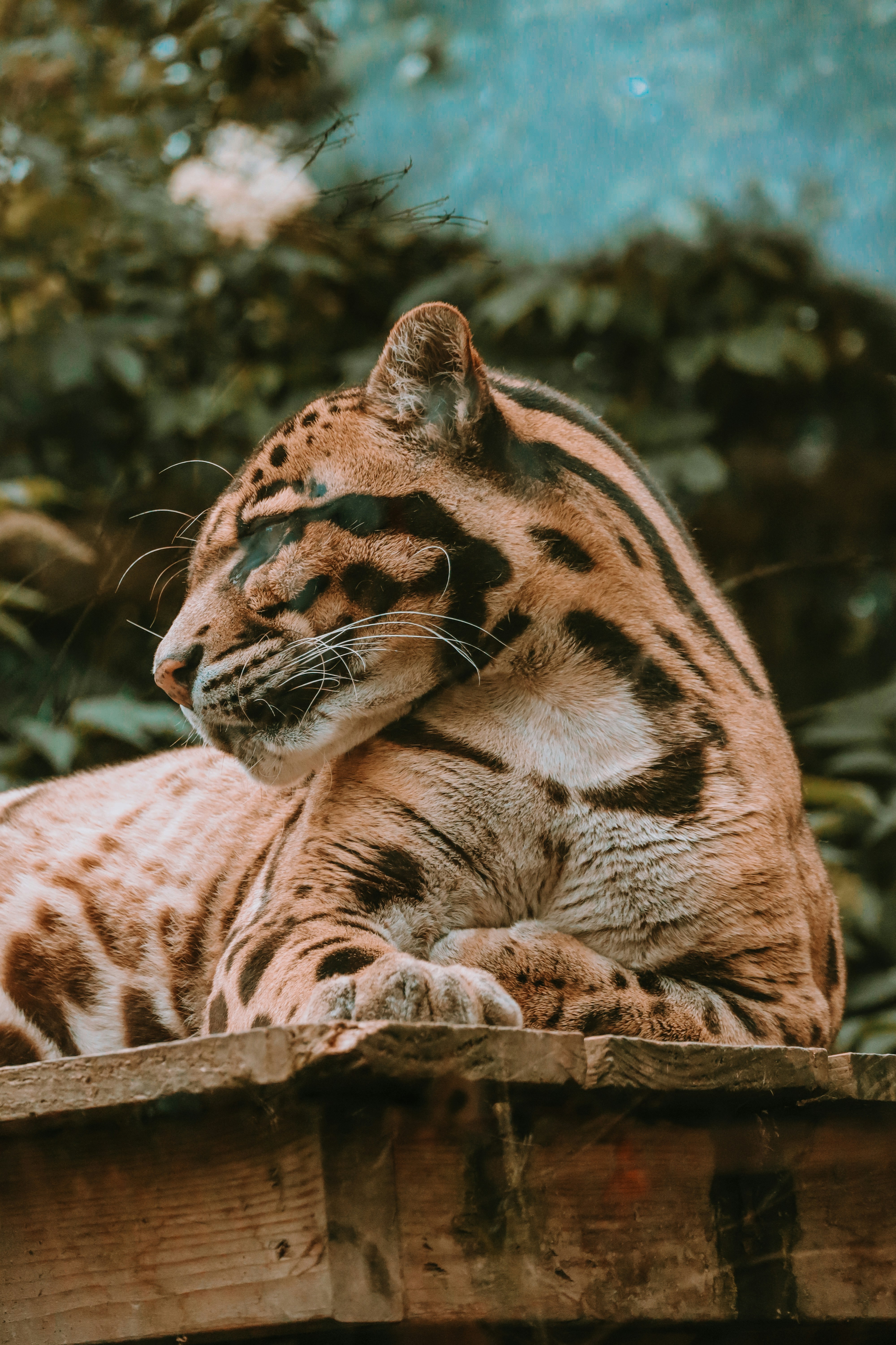 Photo by rhianna_maguire