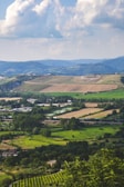 A scenic view of a rural landscape with fields and trees.