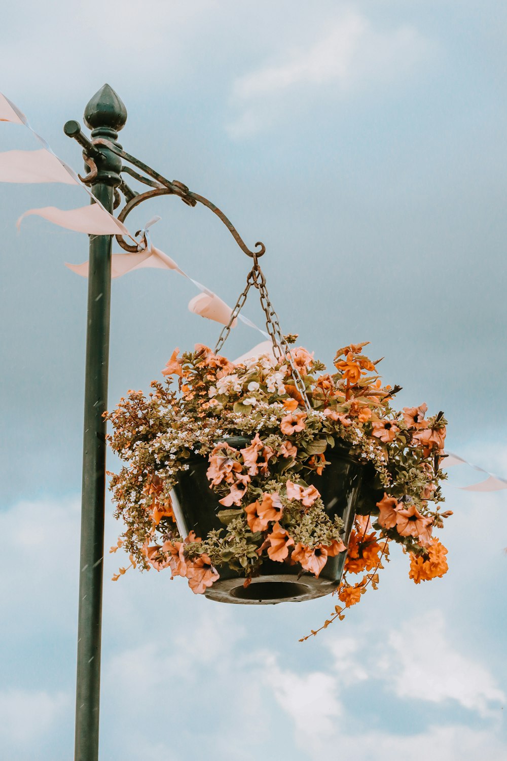 a lamp post with a hanging basket of flowers
