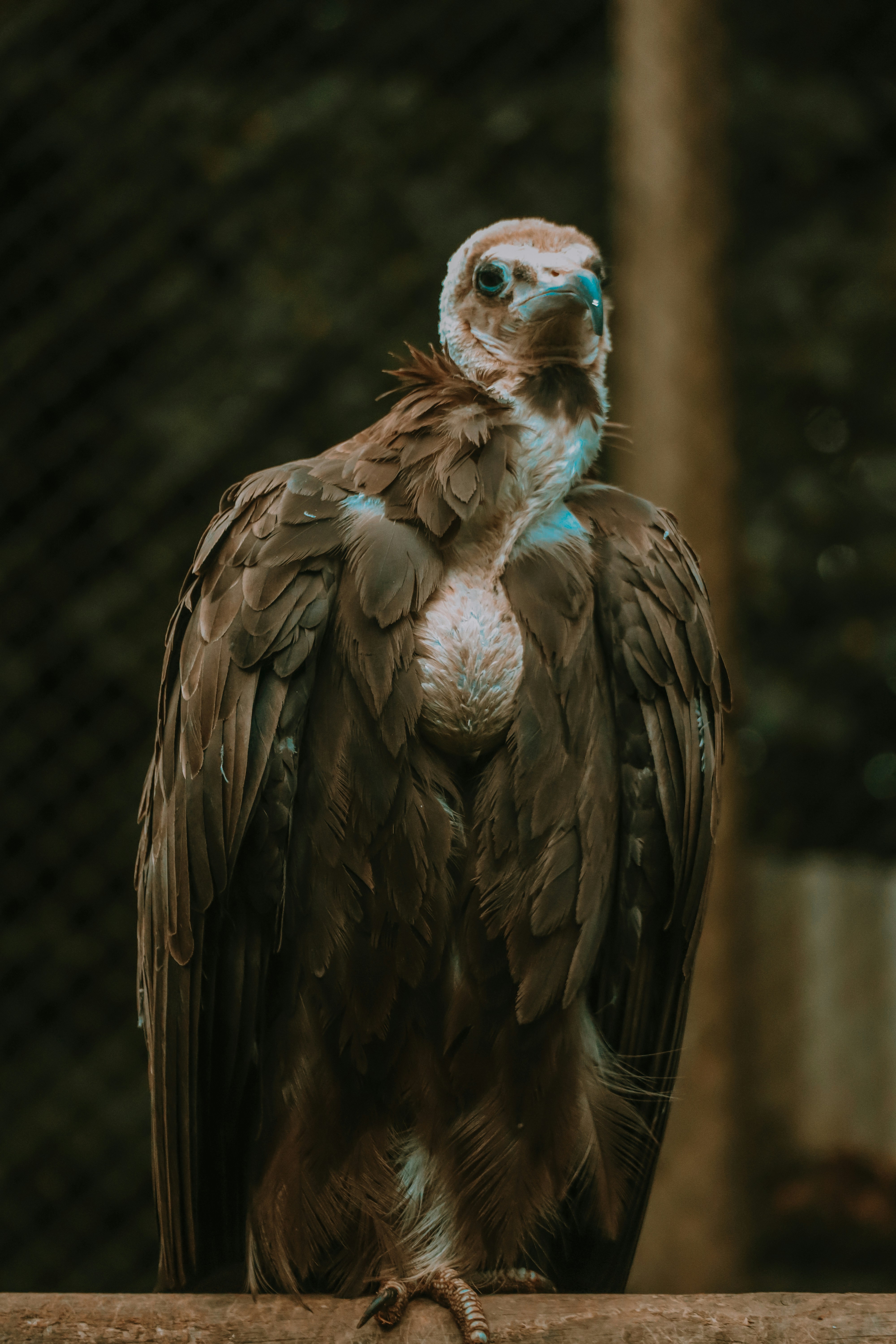 Photo by rhianna_maguire