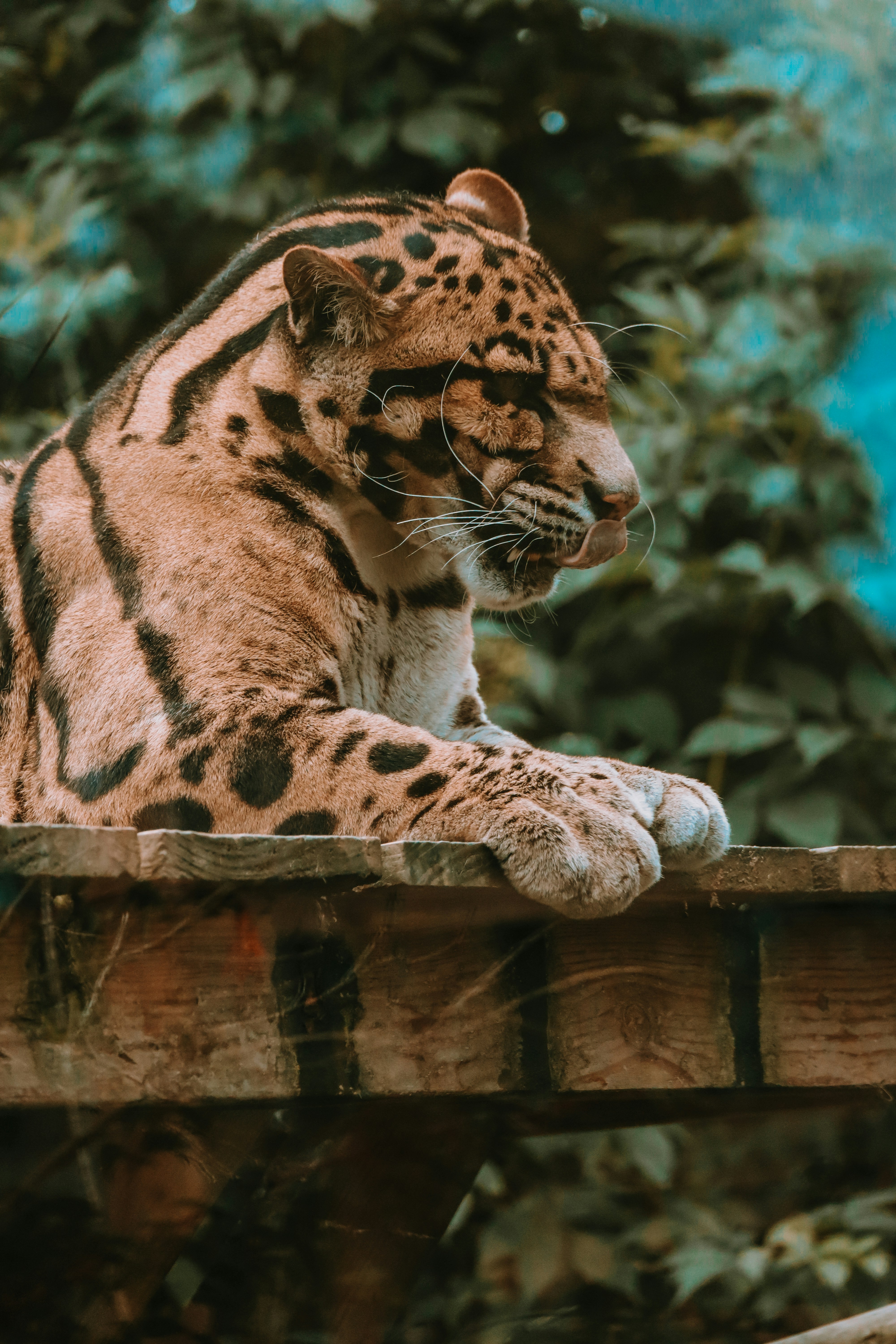 Photo by rhianna_maguire