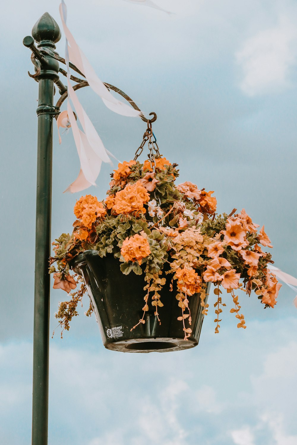 a flower pot hanging from a street light