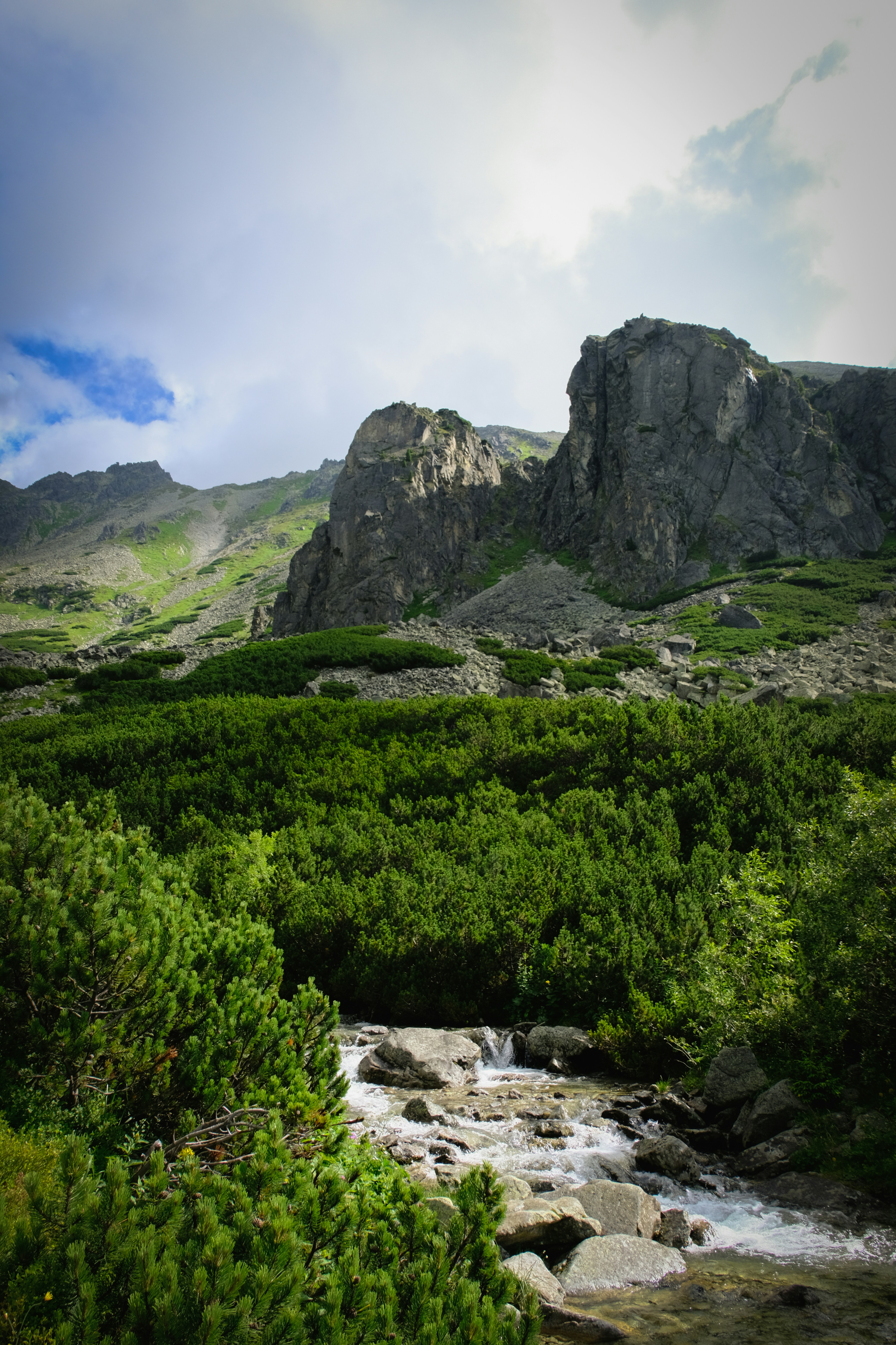 Photo by noemiszasz