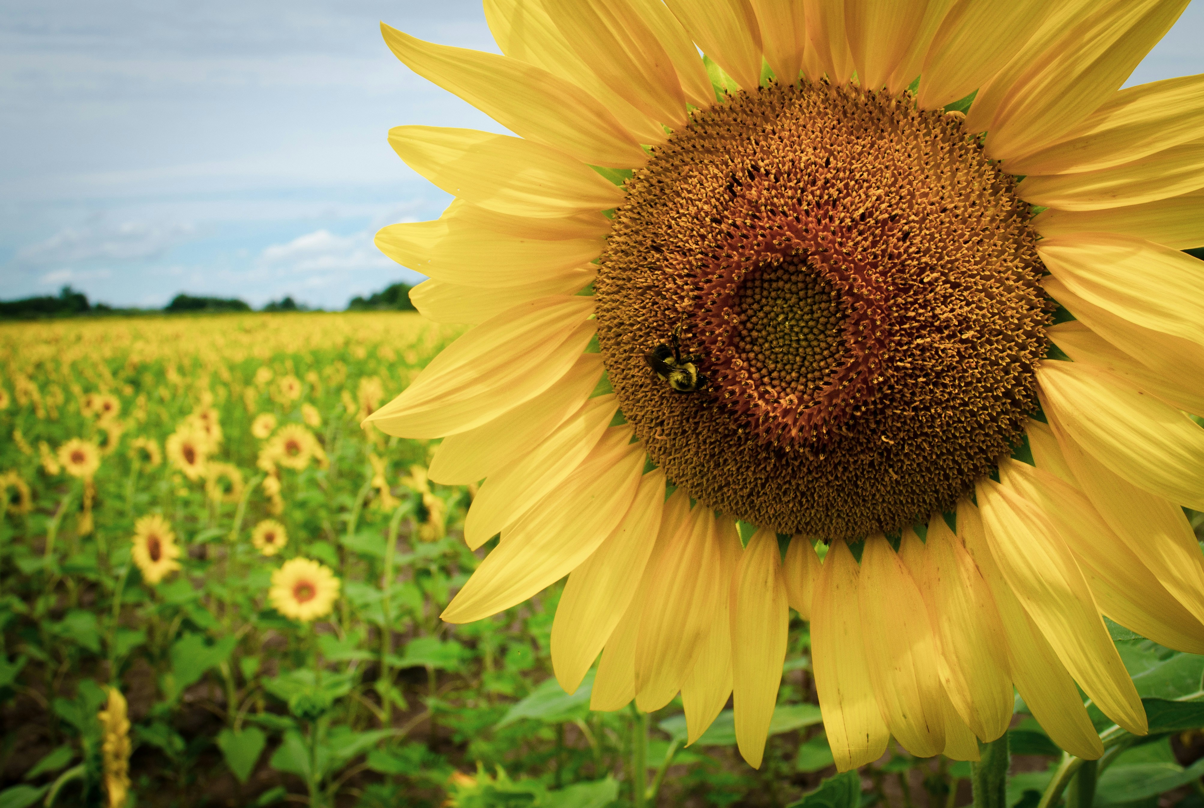 Photo by kry_lyte333