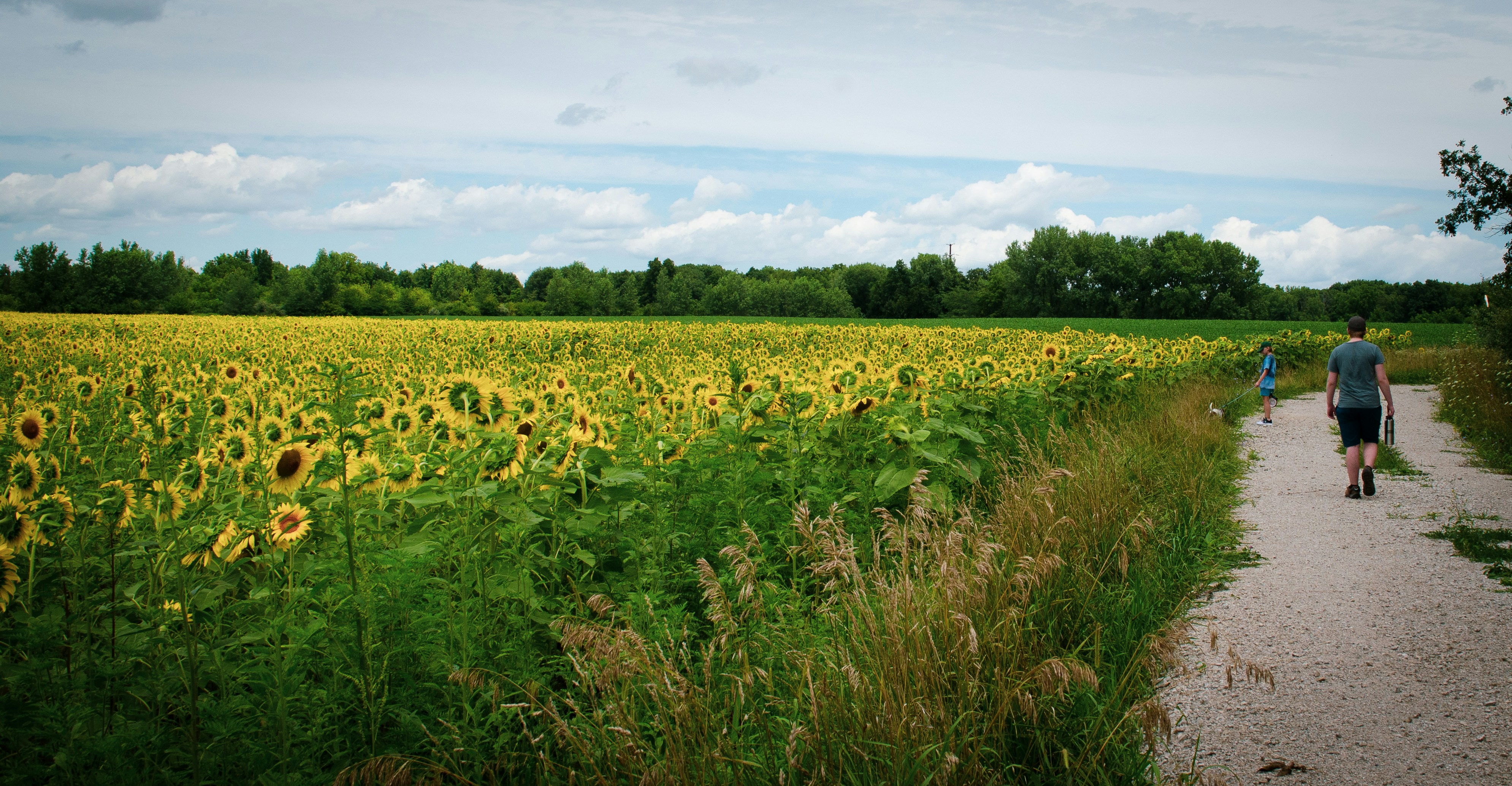 Photo by kry_lyte333